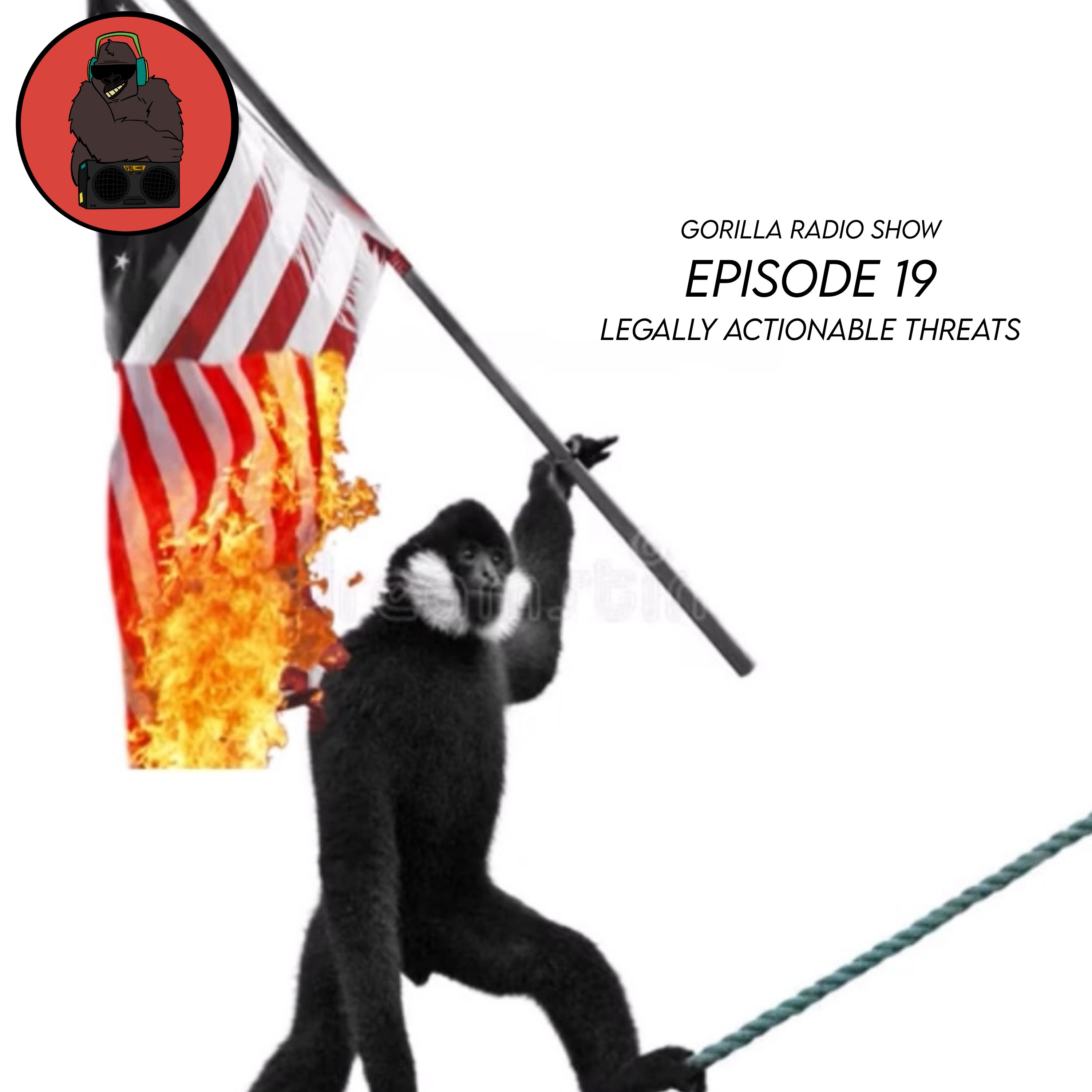 Episode 19 - Legally Actionable Threats