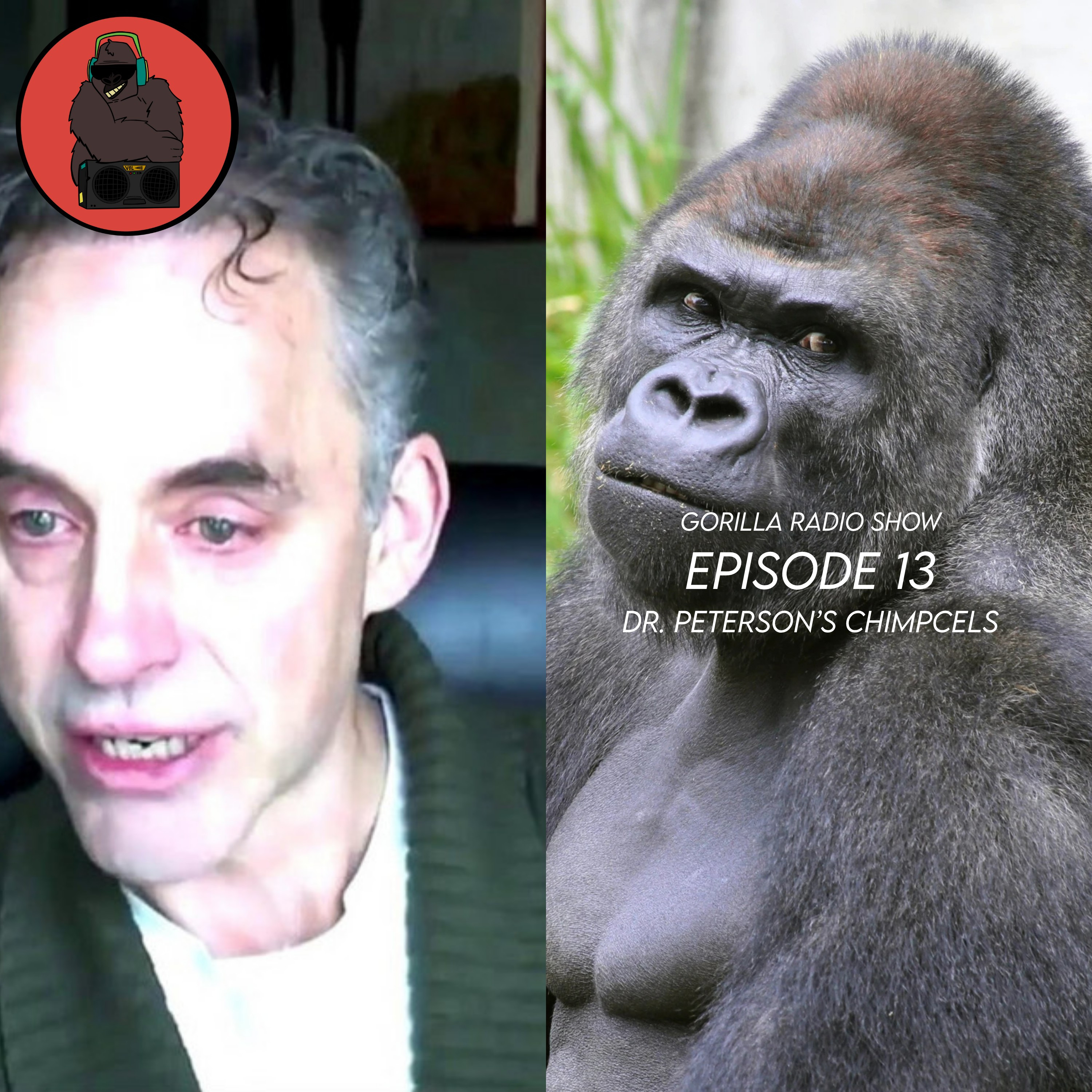 Episode 13 - Dr. Peterson's Chimpcels