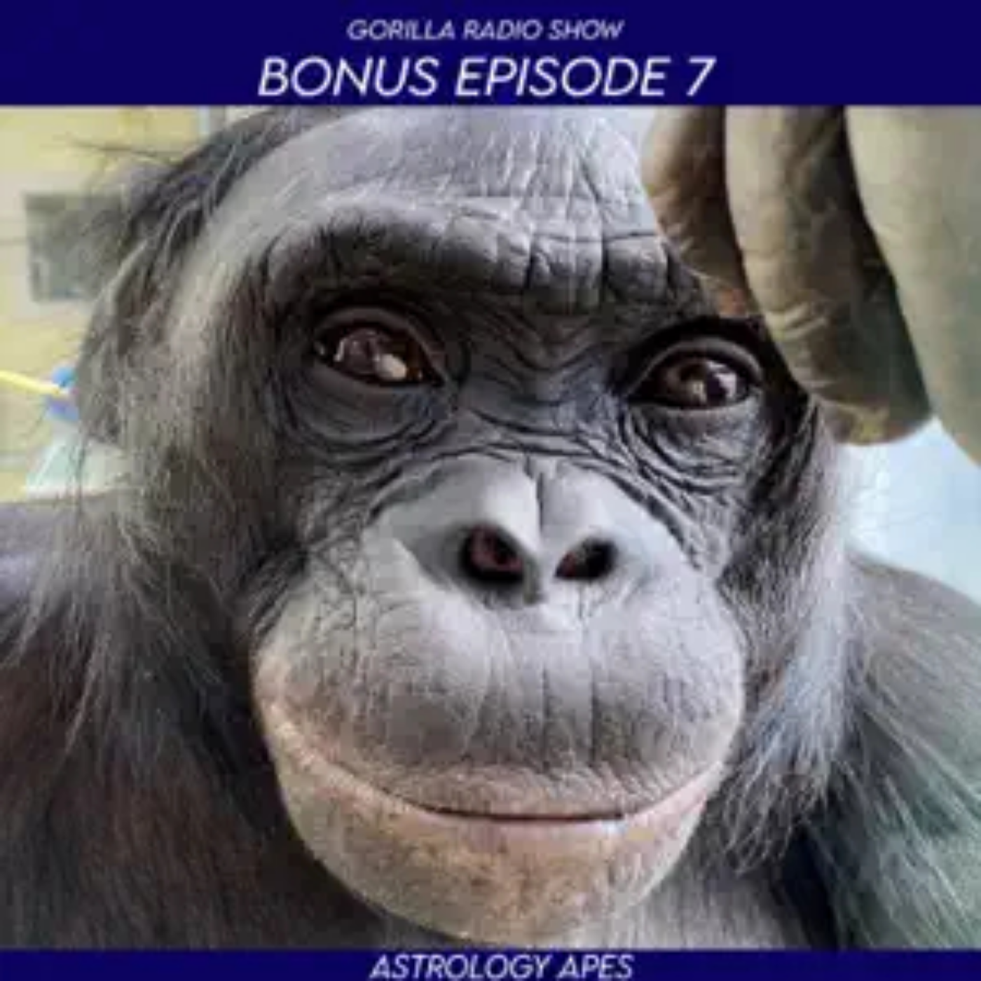 UNLOCKED! Bonus Episode 7 - Astrology Apes