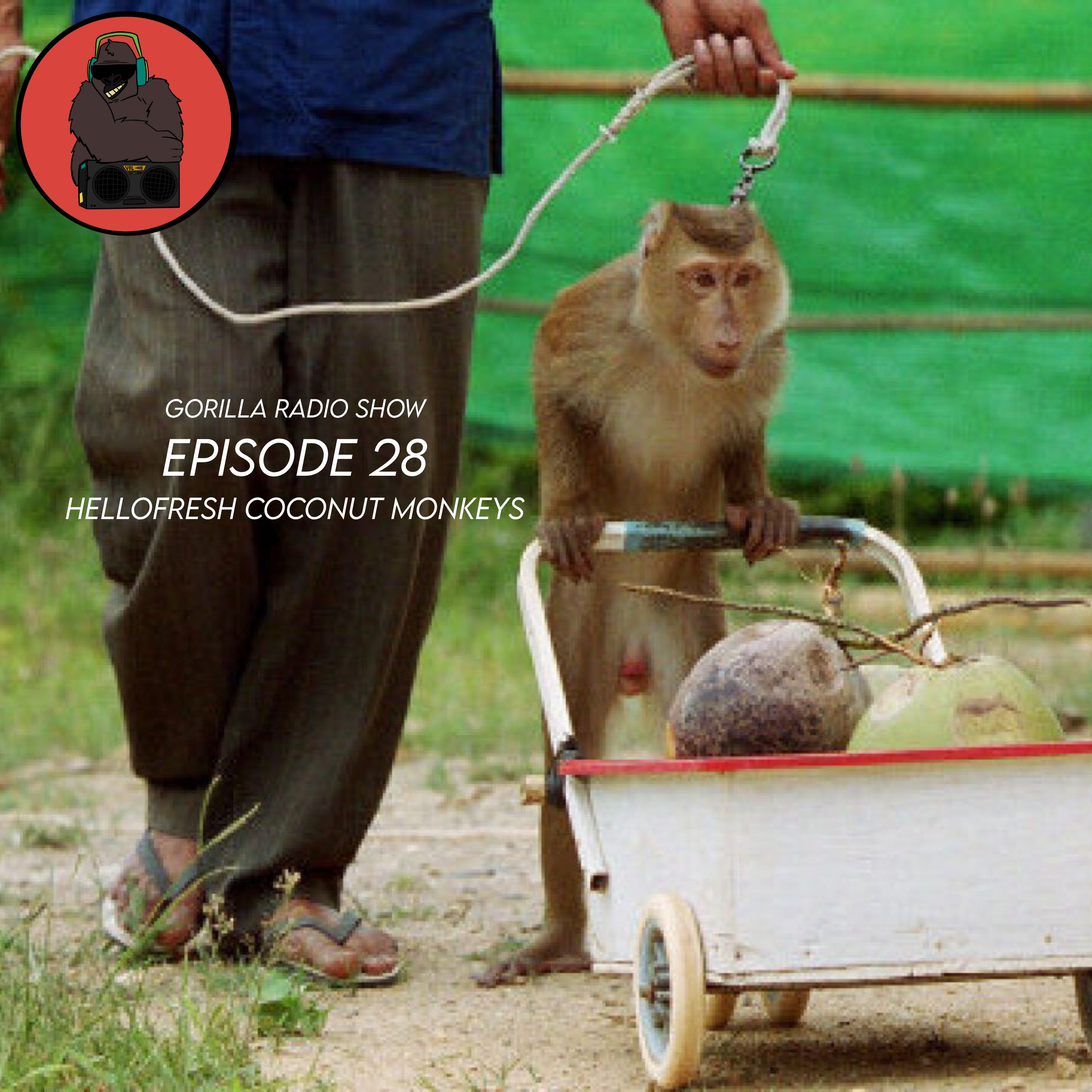 Episode 28 - HelloFresh Coconut Monkeys