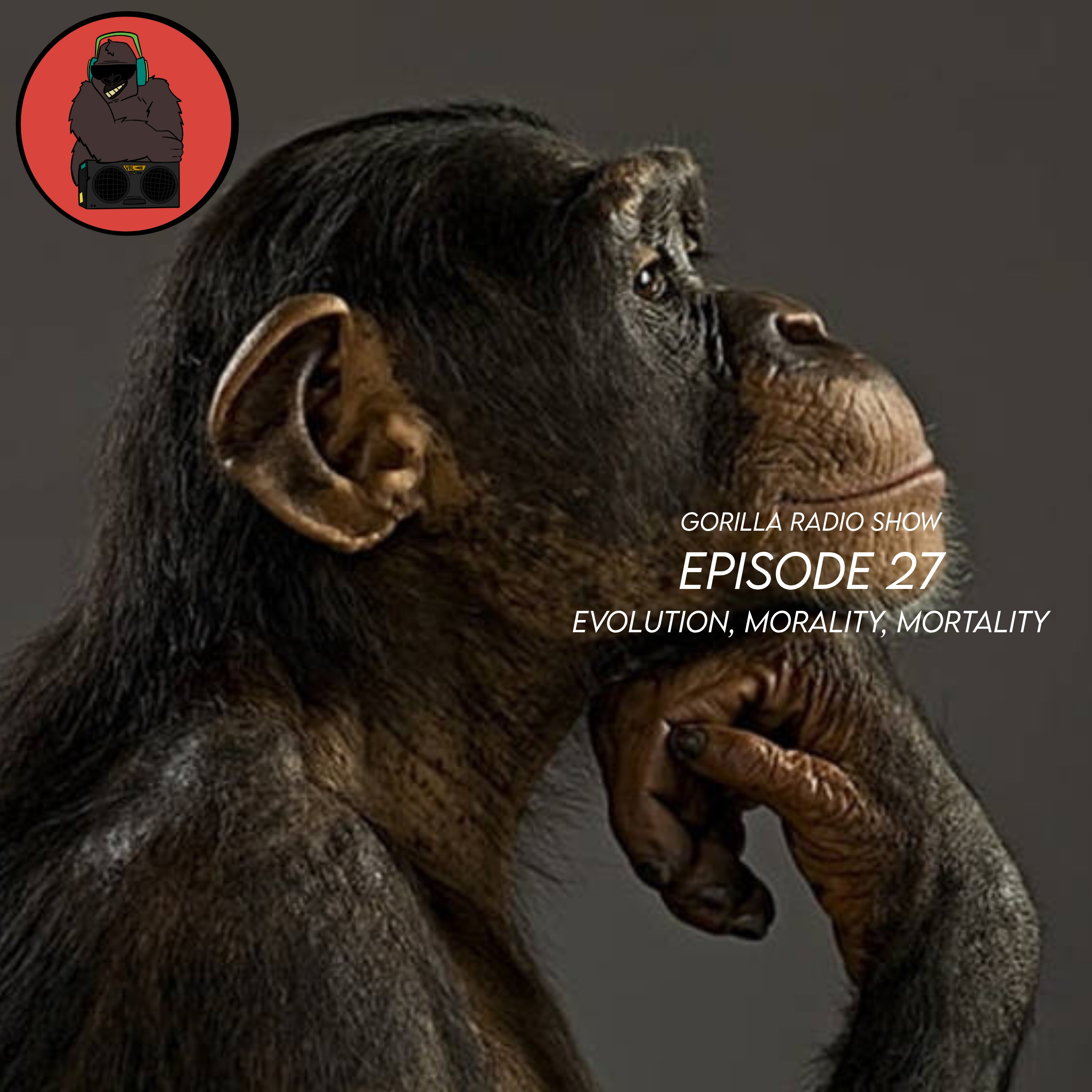 Episode 27 - Evolution, Morality, Mortality