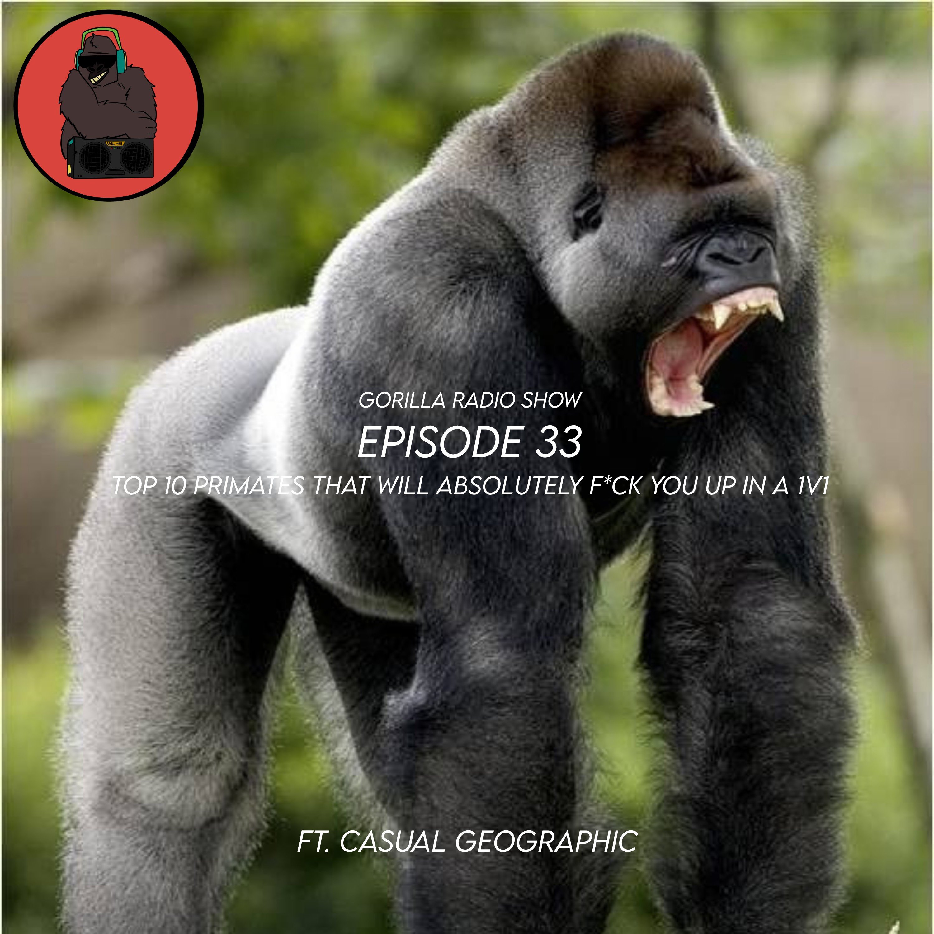 Episode 33 - Top 10 Primates That Will Absolutely F*ck You Up in a 1v1 Ft. Casual Geographic