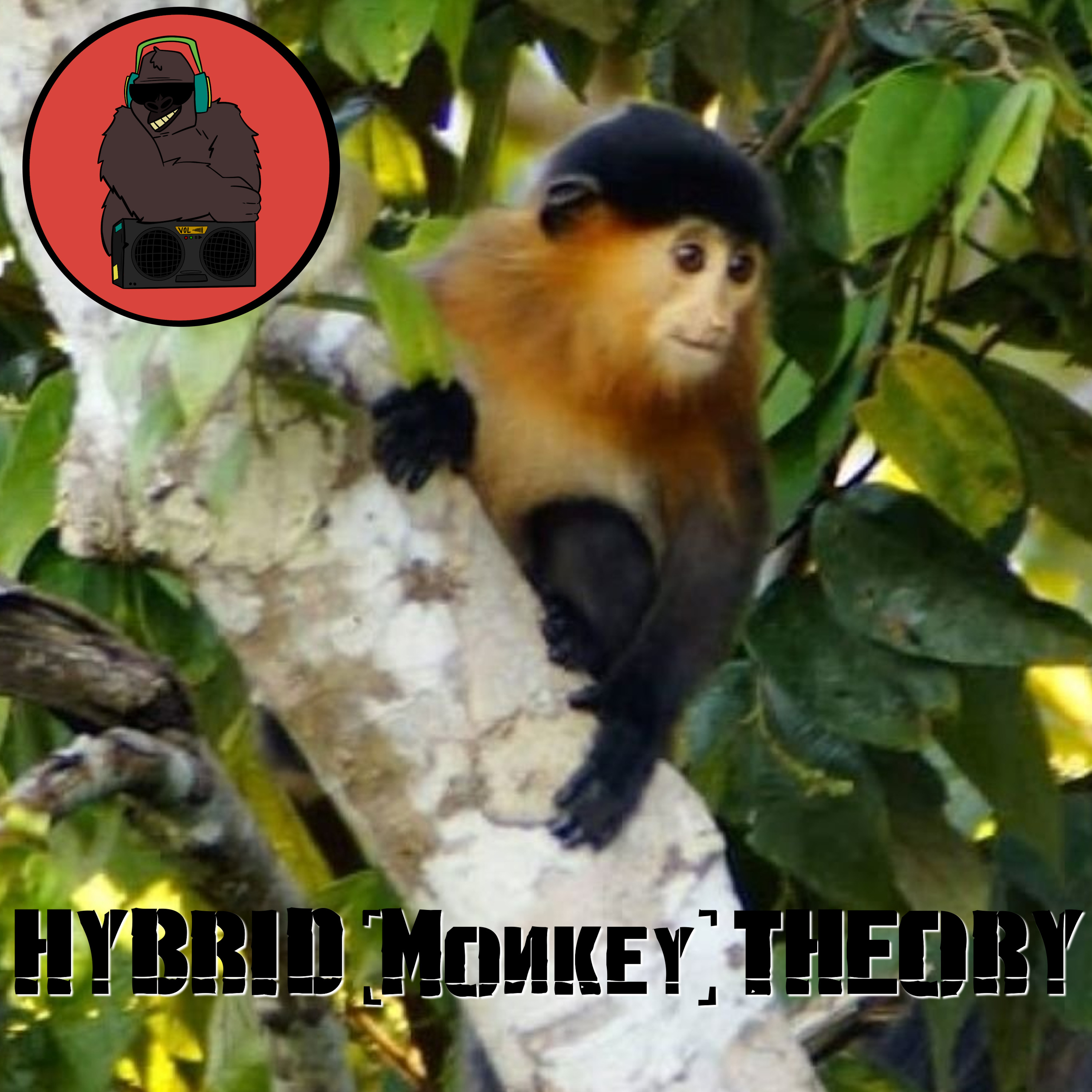 Episode 43 - Hybrid (Monkey) Theory