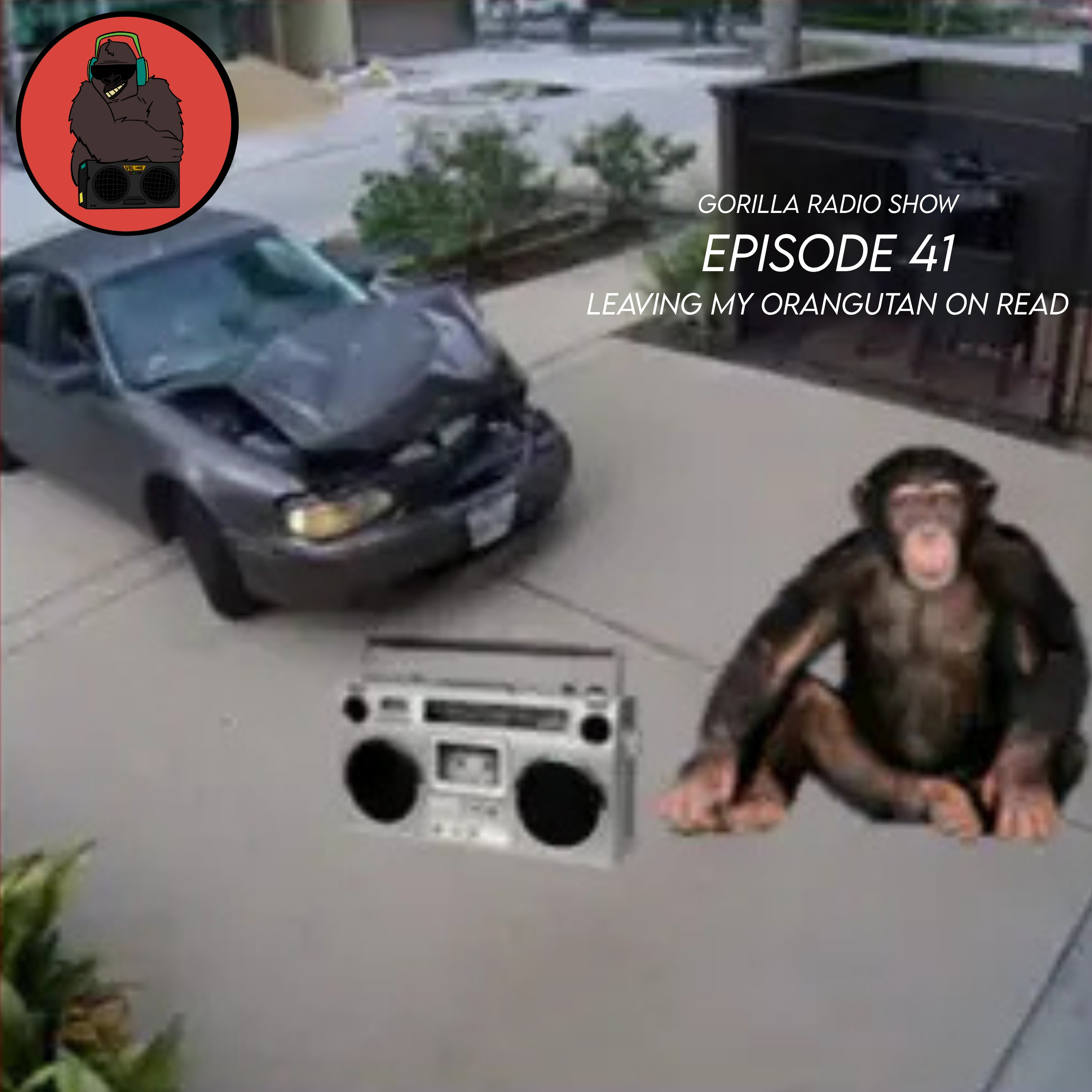 Episode 41 - Leaving my Orangutan on Read