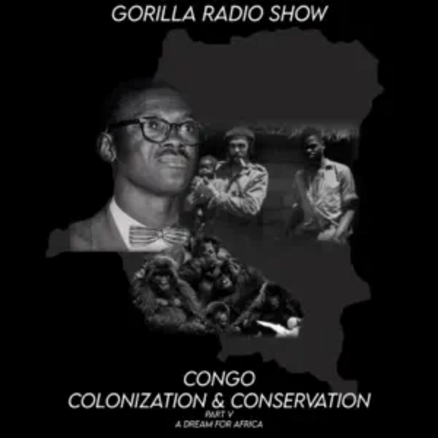 The Congo: Colonization and Conservation 5 - A Dream for Africa