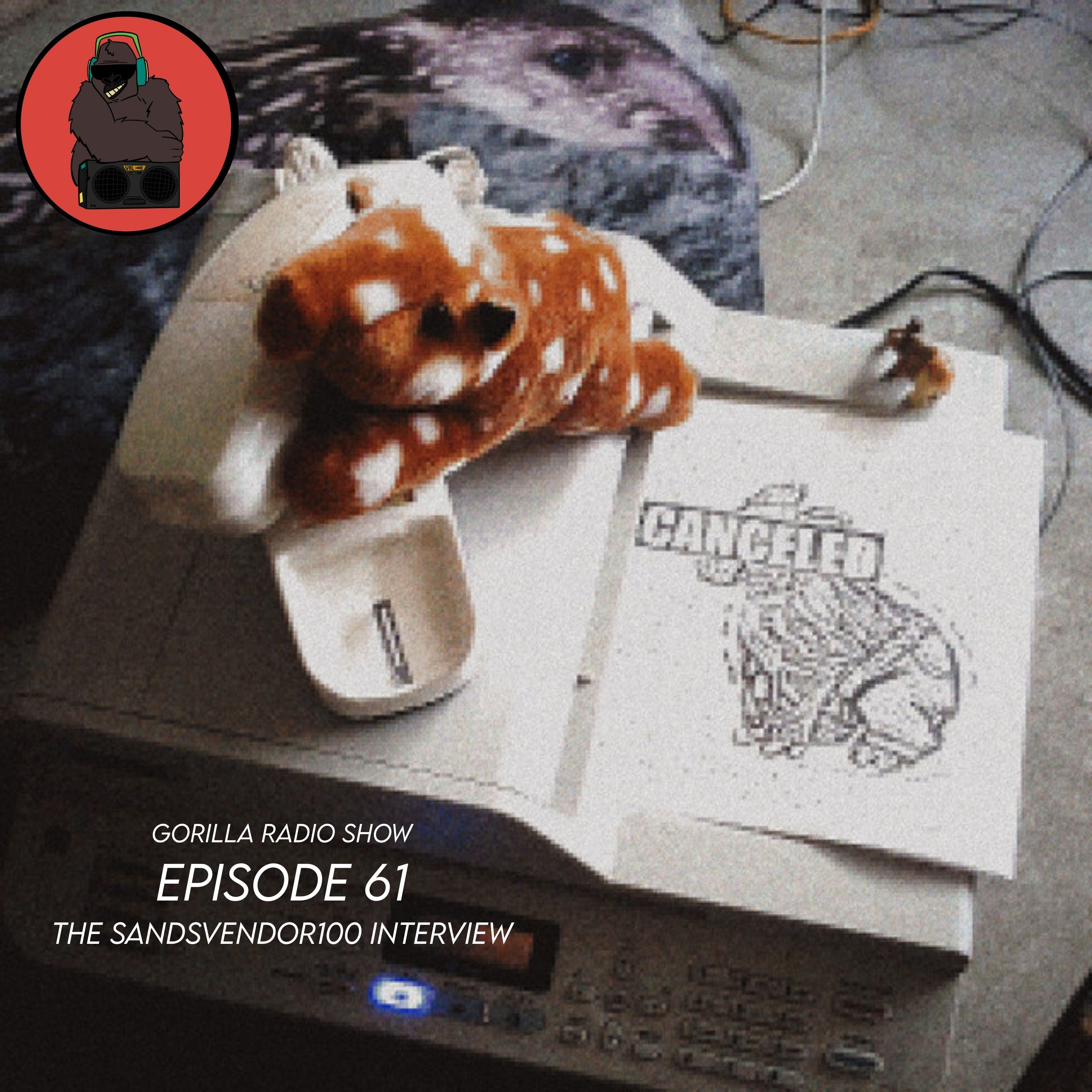 Episode 61 - The sandsvendor100 Interview