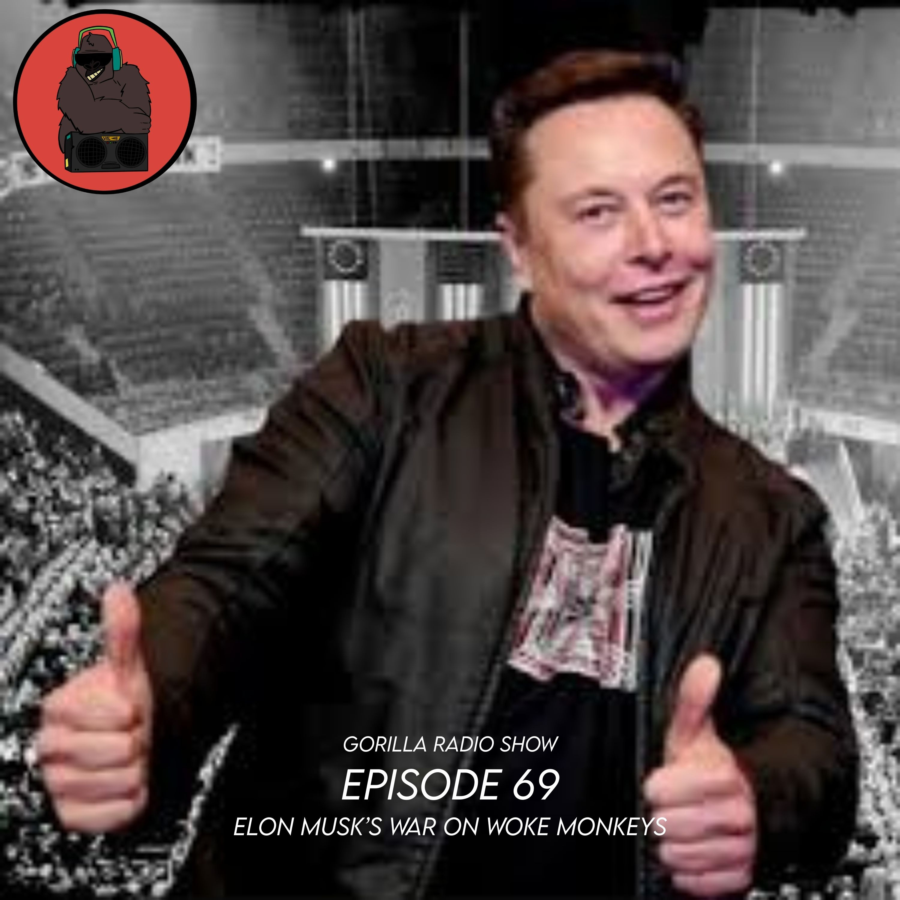 Episode 69 - Elon Musk's War on Woke Monkeys