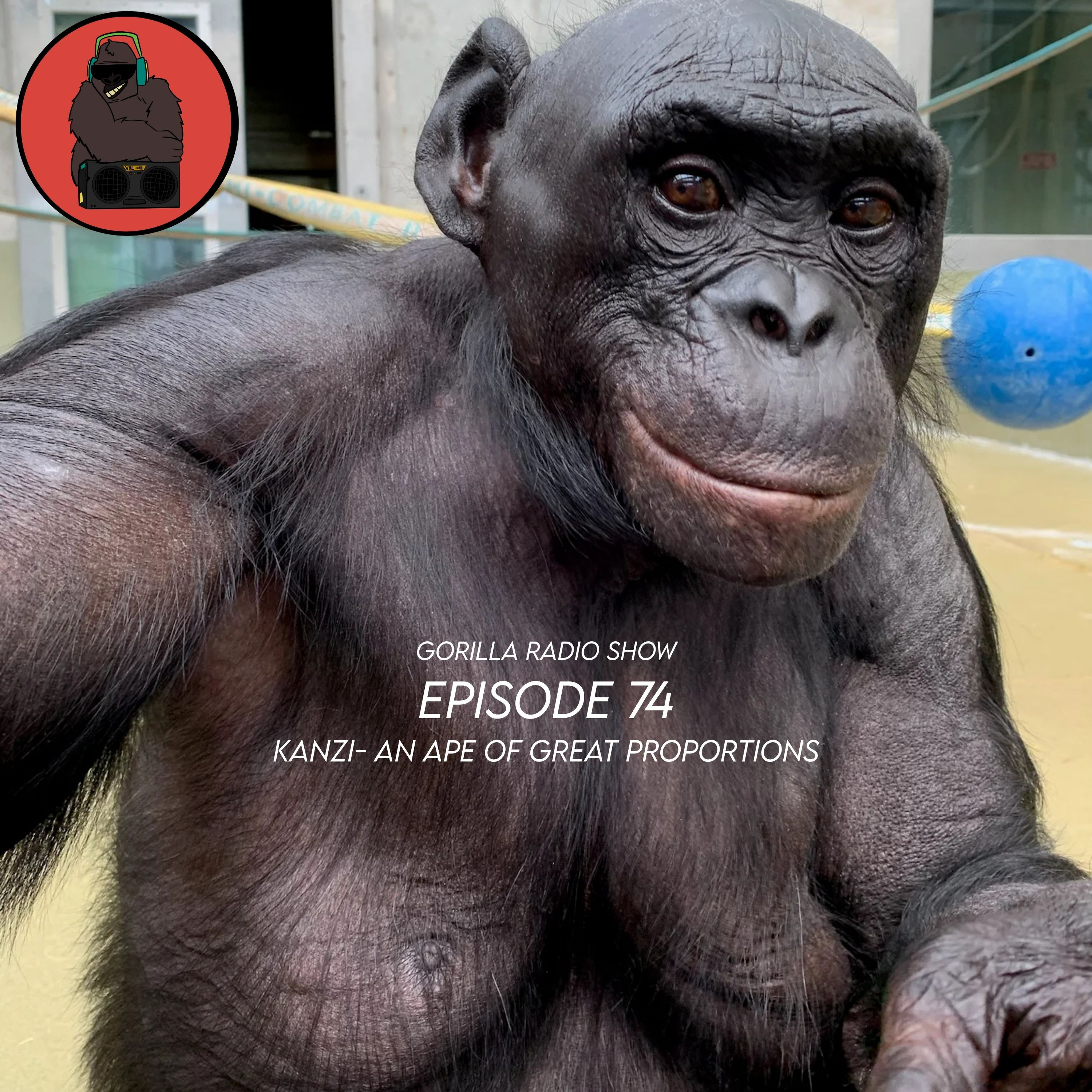 Episode 74 - Kanzi An Ape of Great Proportions