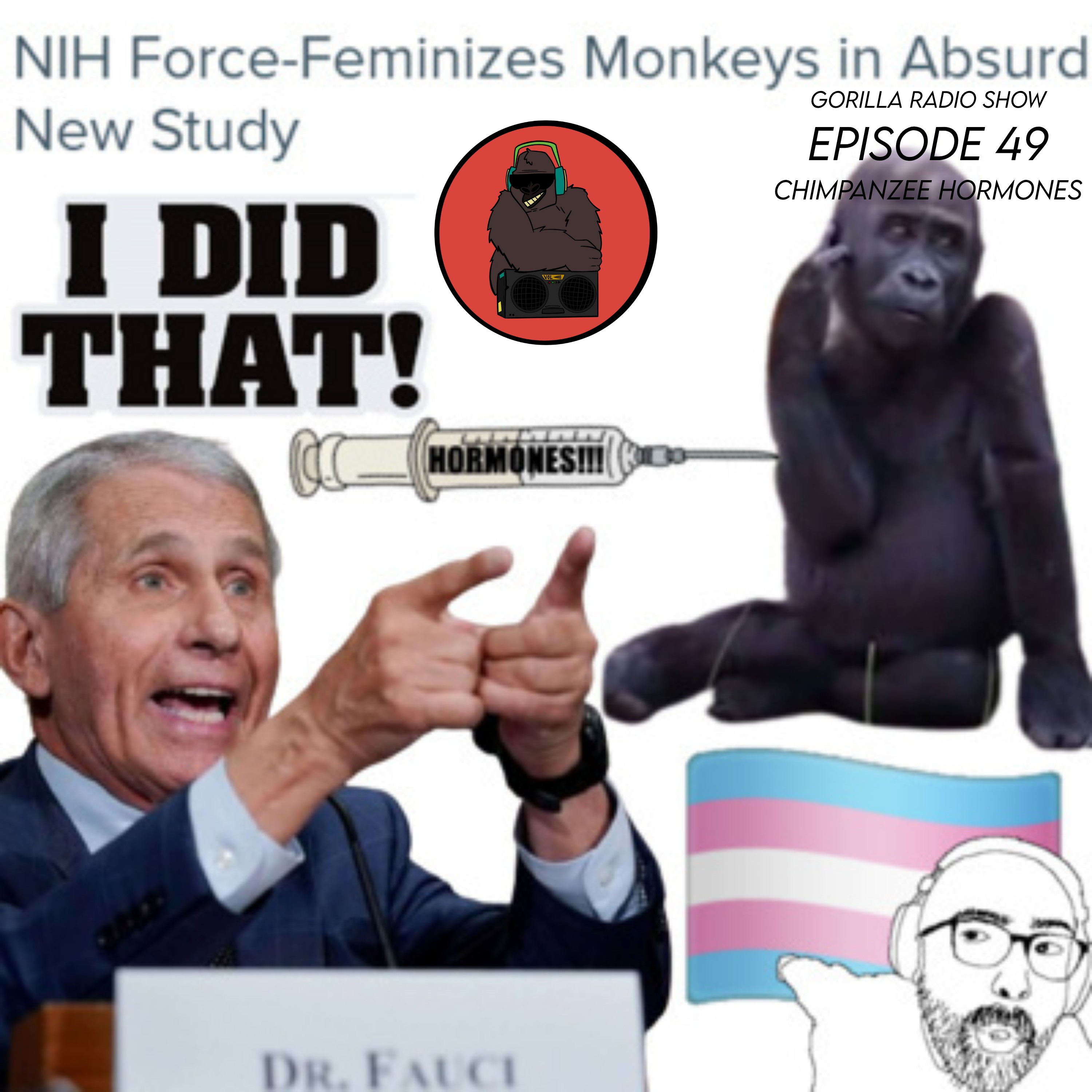 Episode 49 - Chimpanzee Hormones