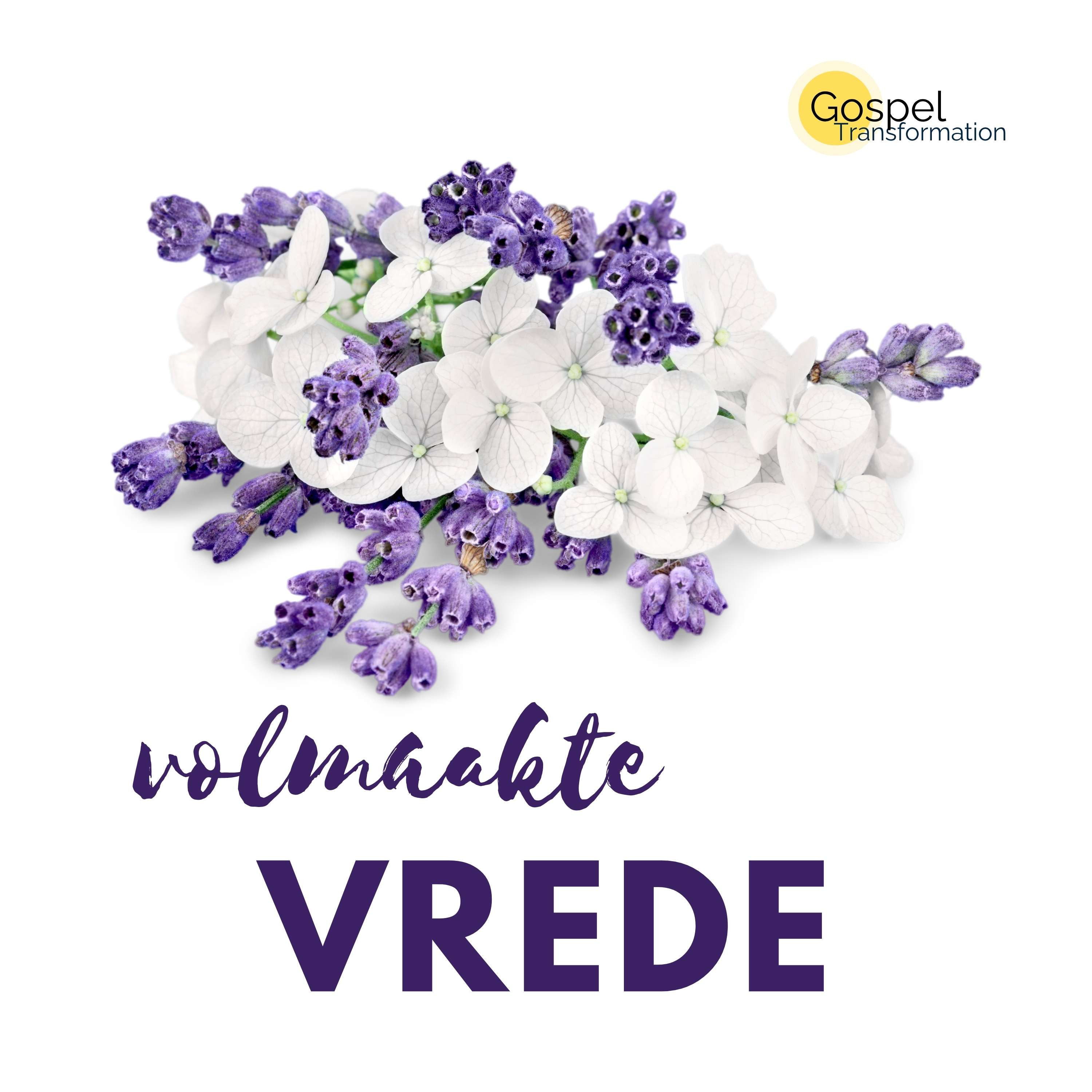 Volmaakte vrede episode artwork