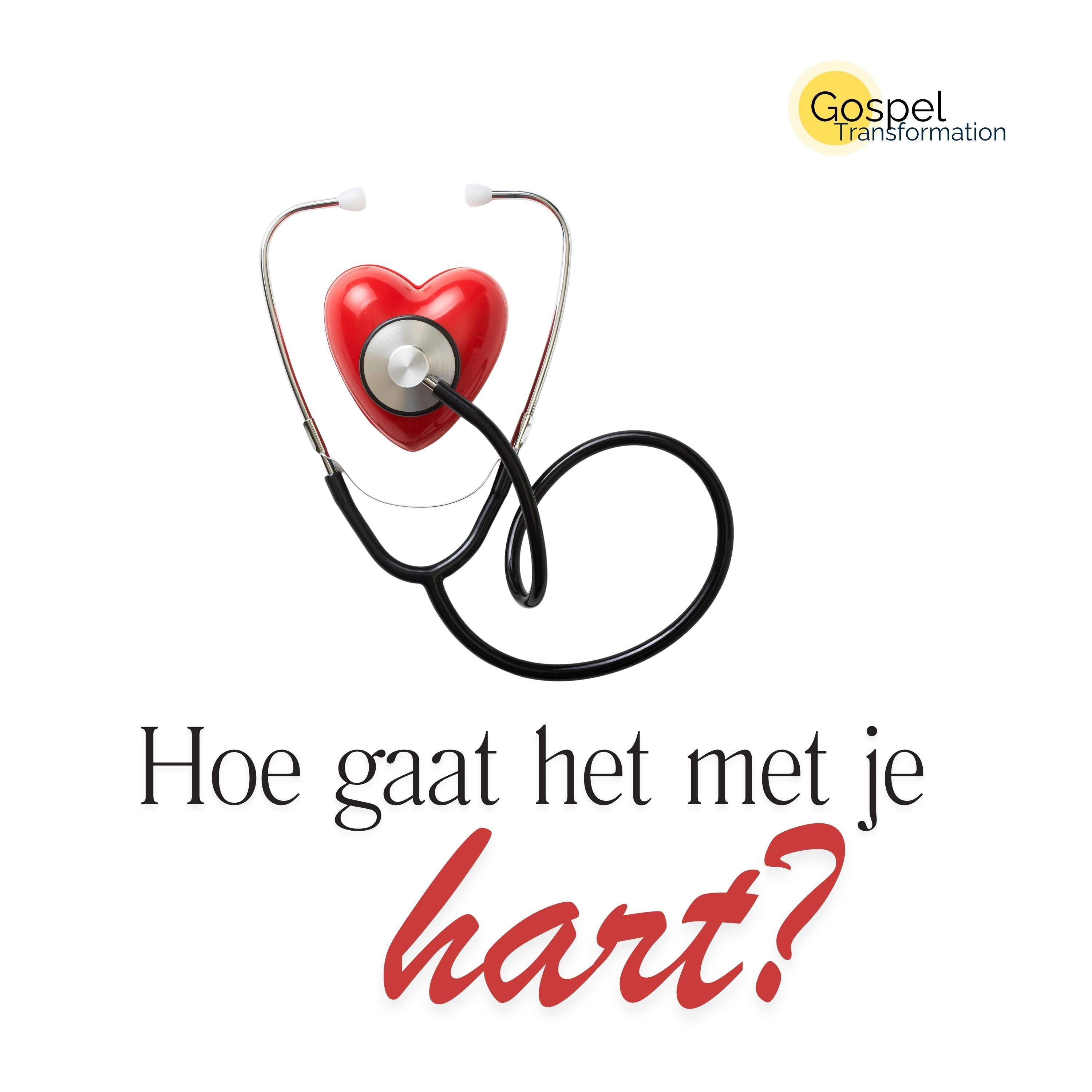 Hoe gaat het met je hart? episode artwork