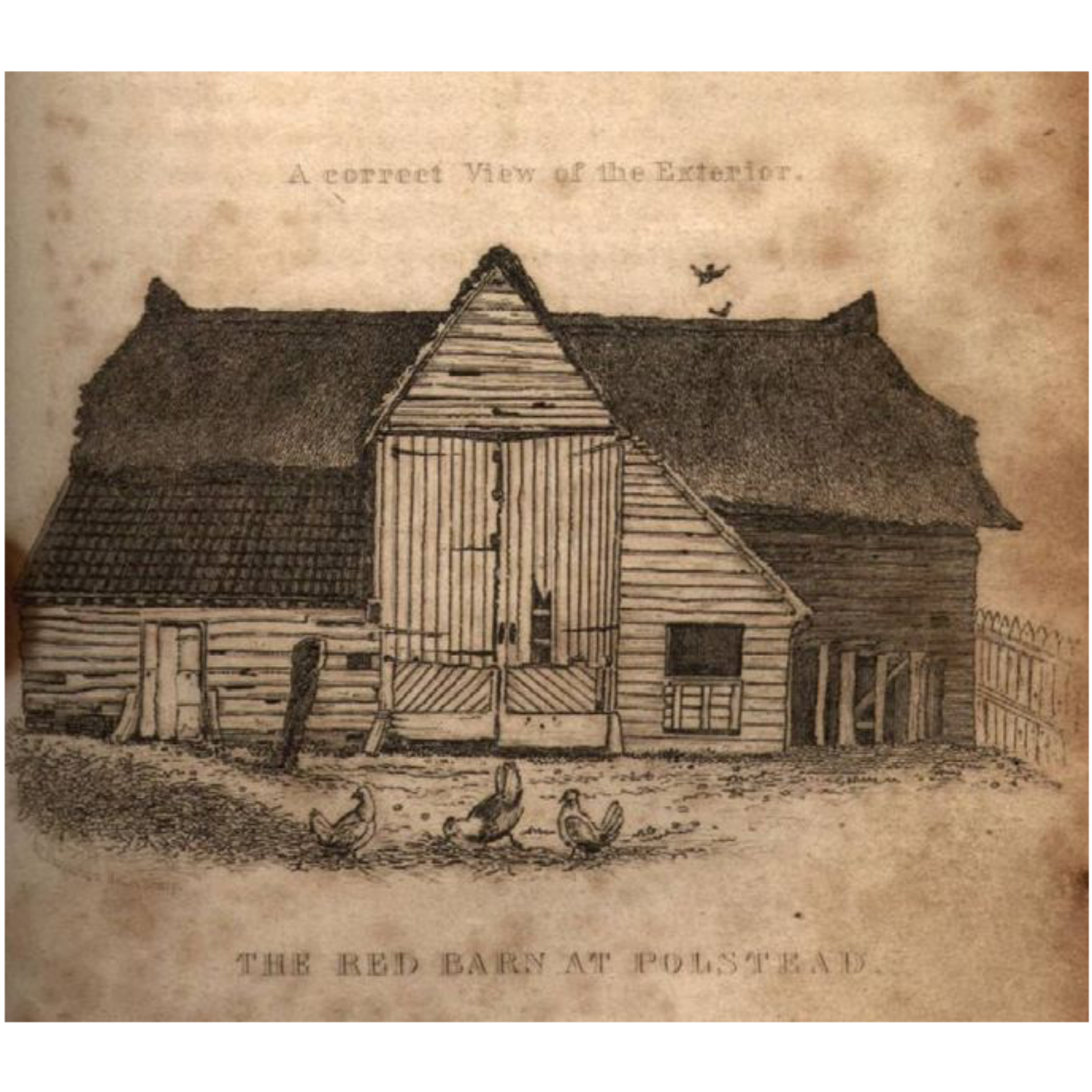 The Red Barn Murder episode artwork