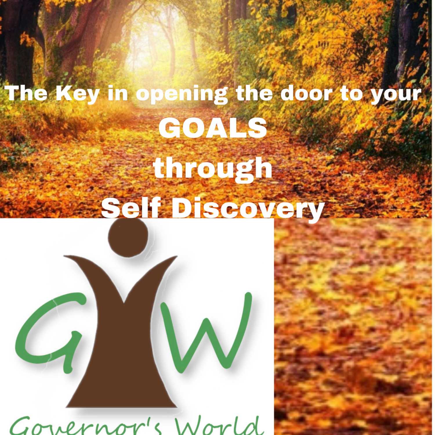 Governors World