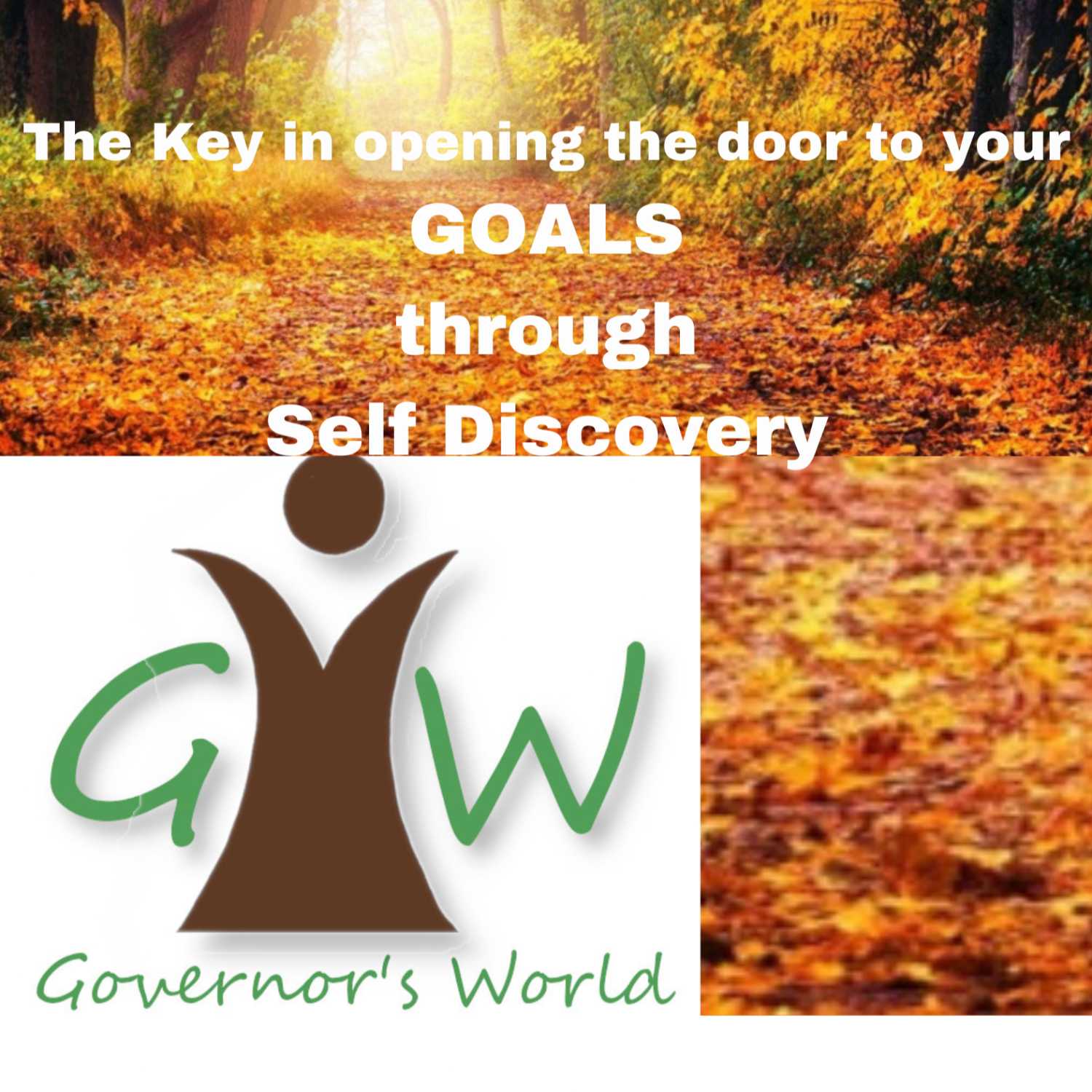 Governors World