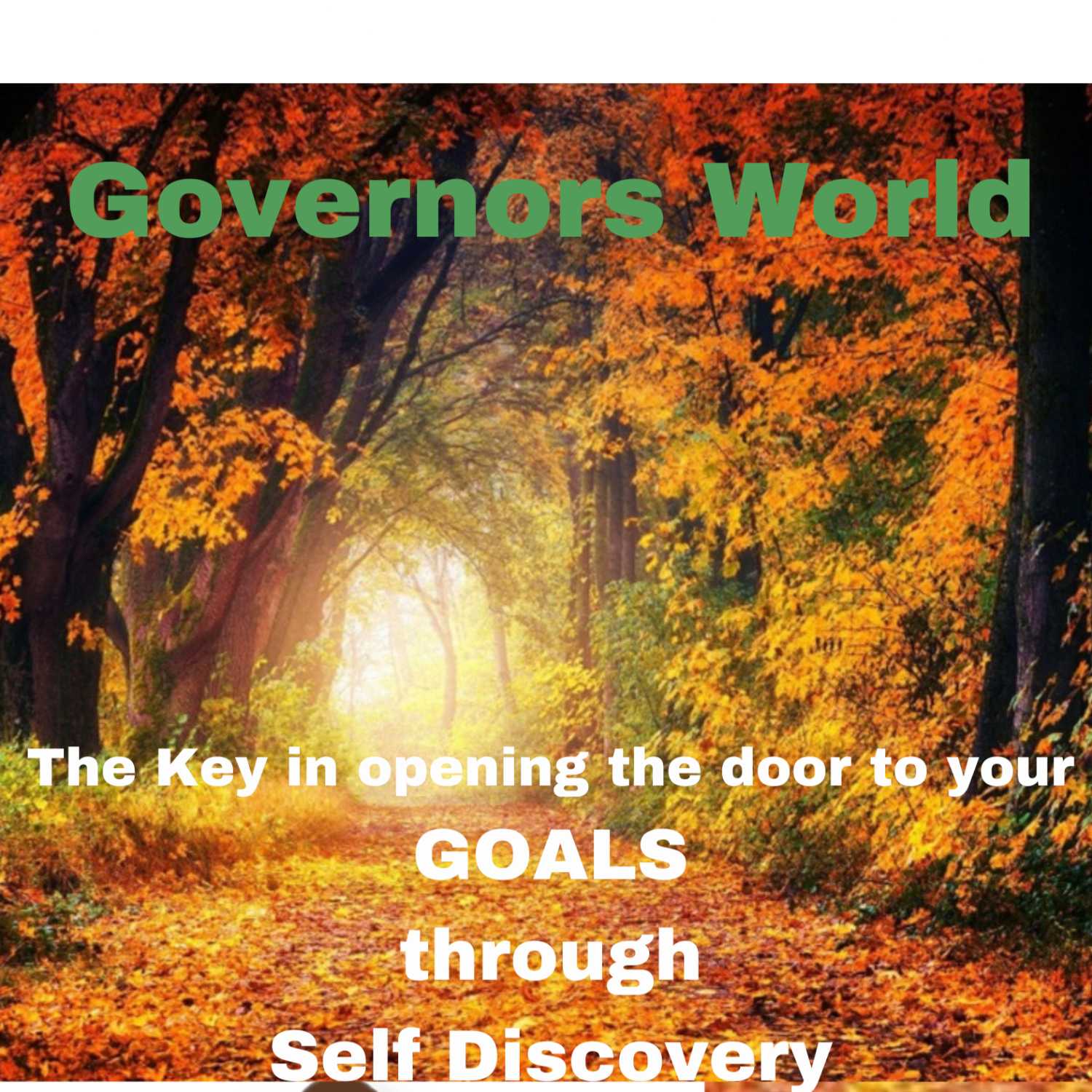 Governors World