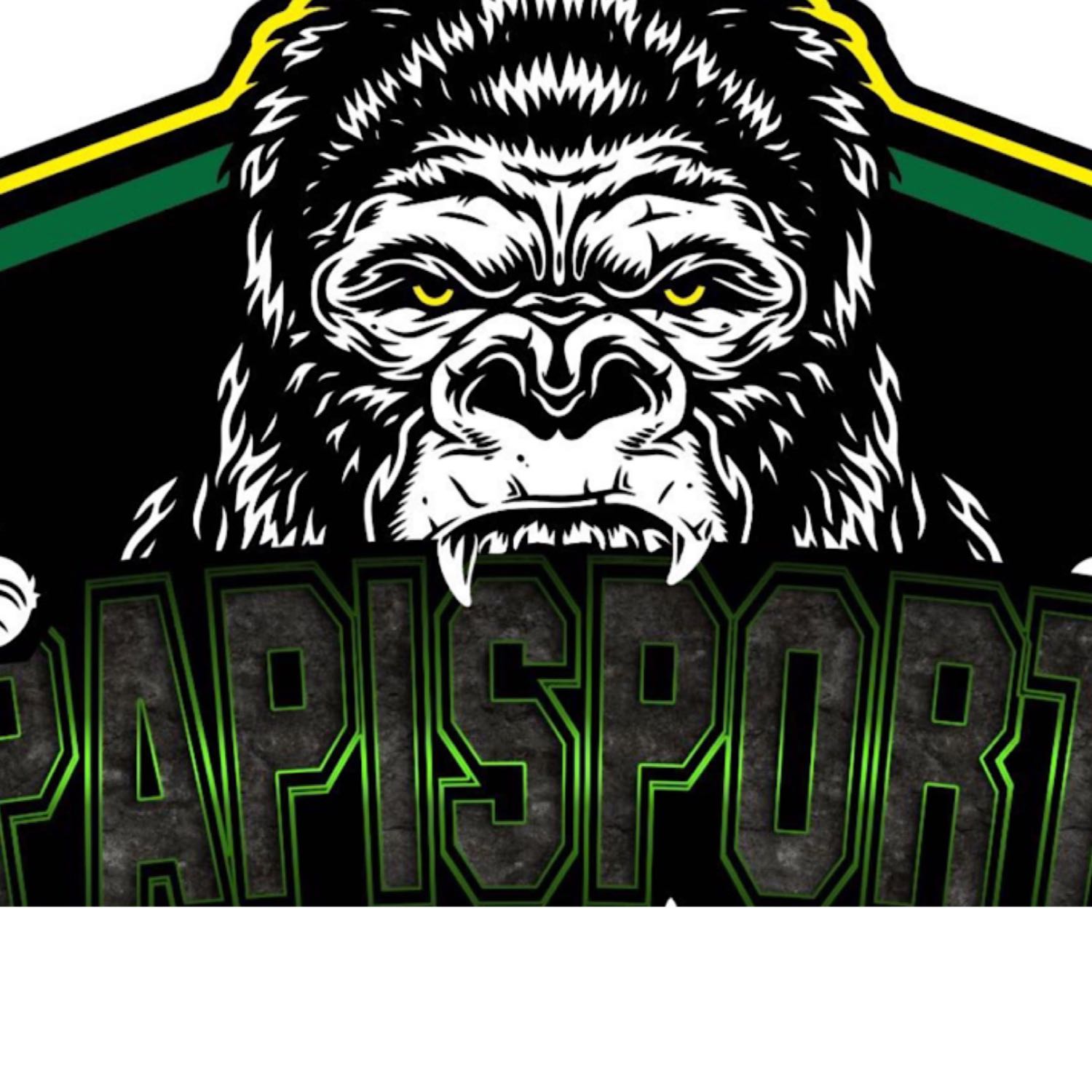 Gpapisports