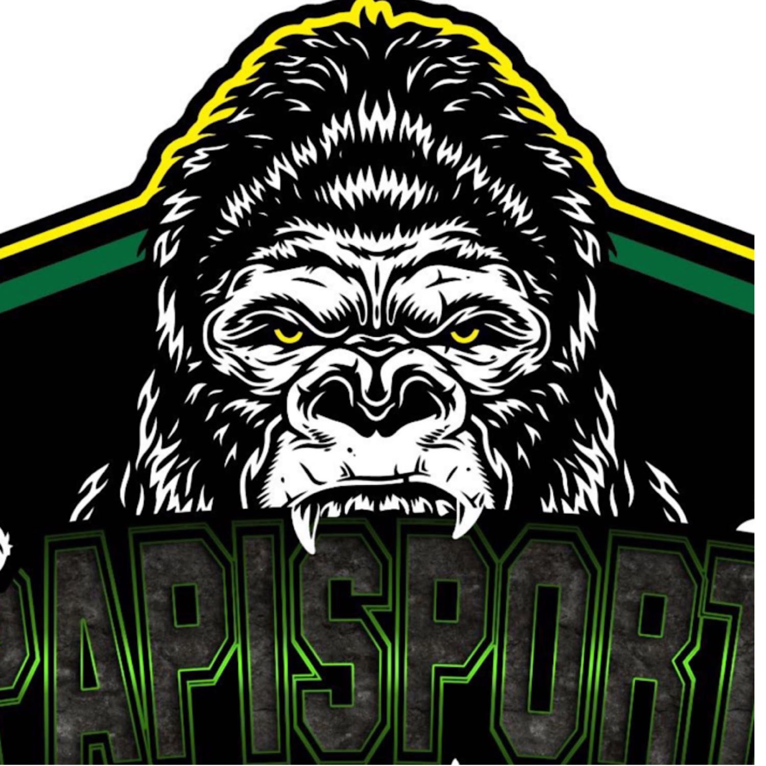 Gpapisports