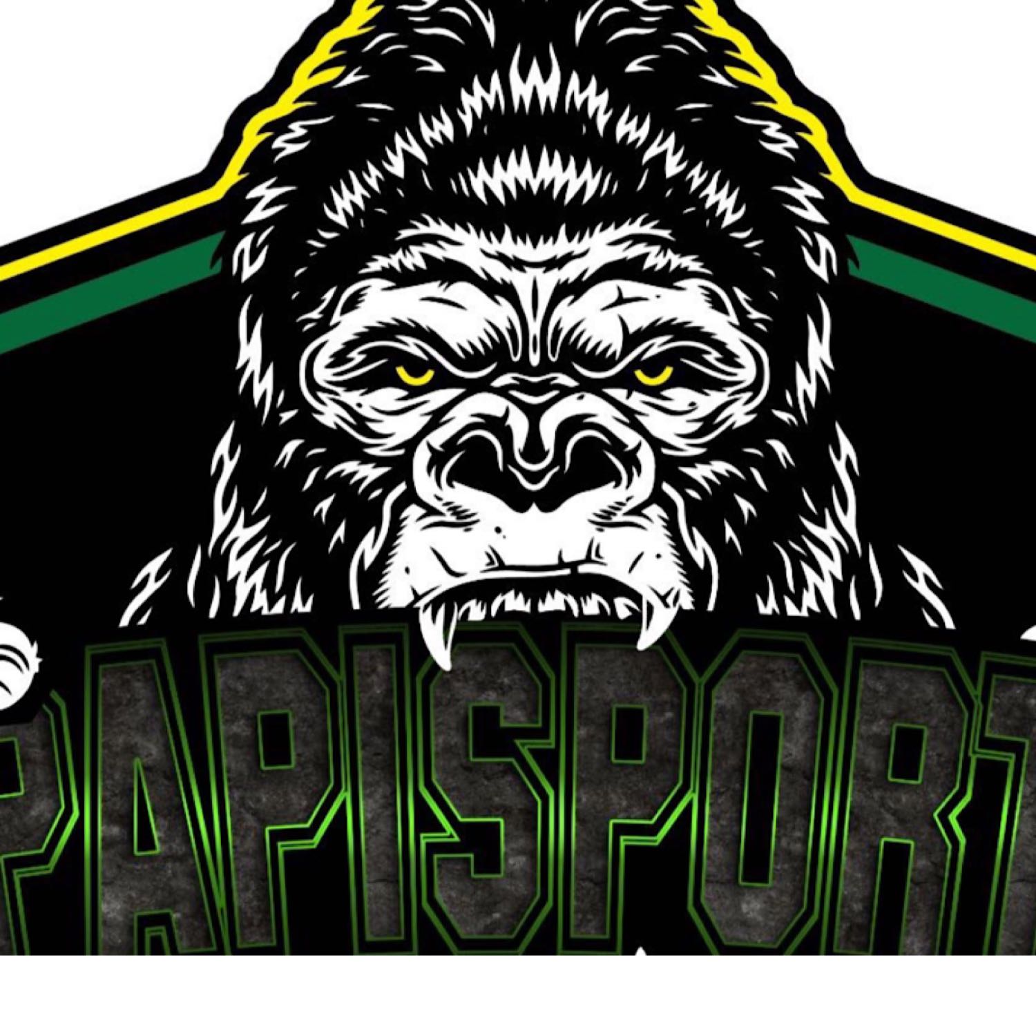 Gpapisports