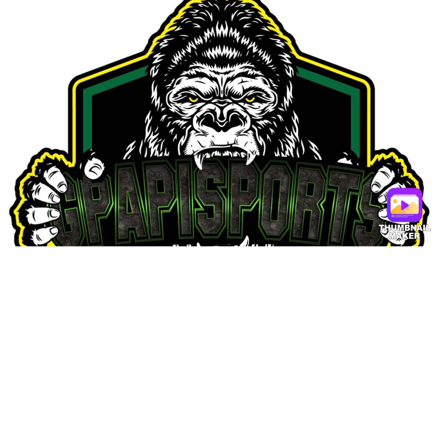 Gpapisports