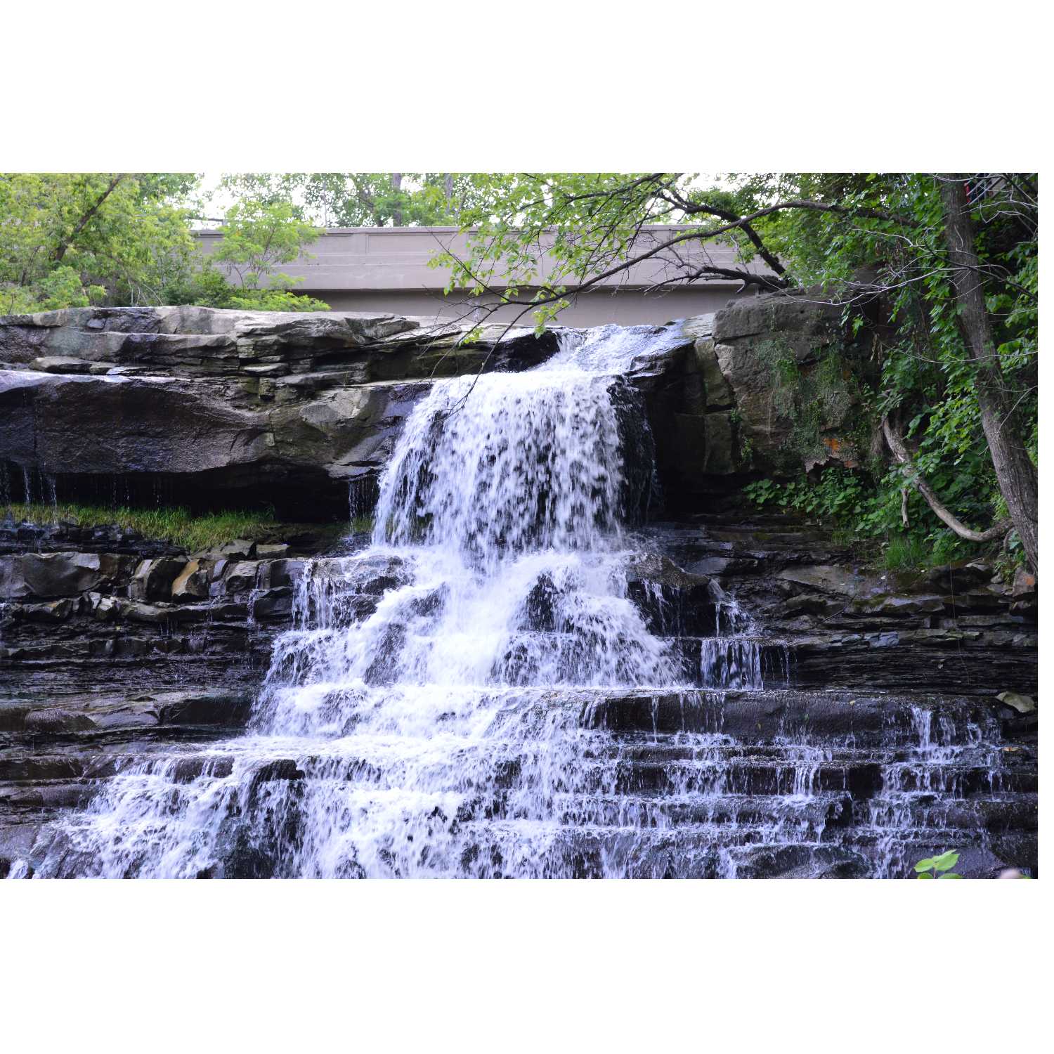 G.R.A.C.E. Life Coaching: Session 1