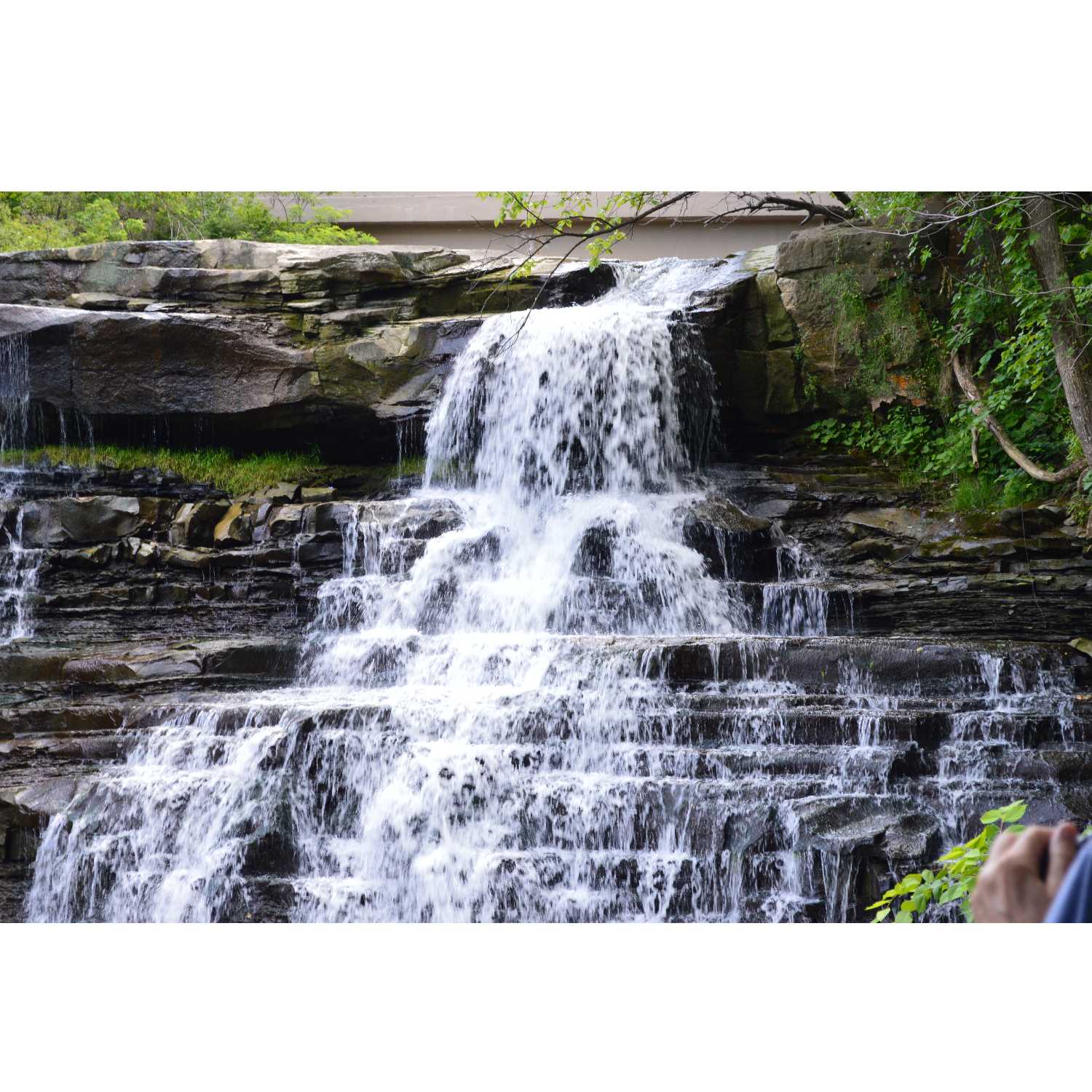 G.R.A.C.E. Life Coaching: Episode 4