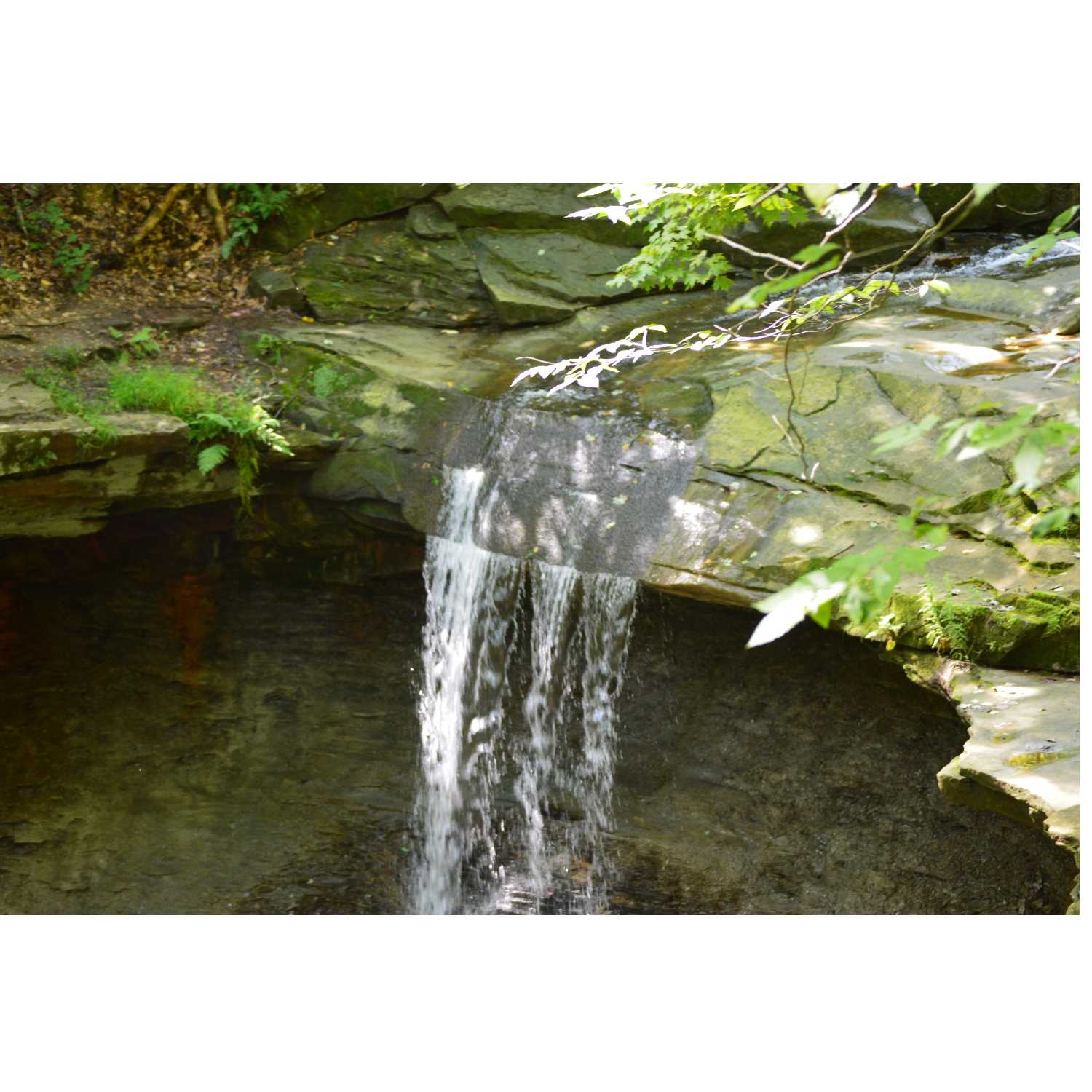 G.R.A.C.E. Life Coaching: Episode 5