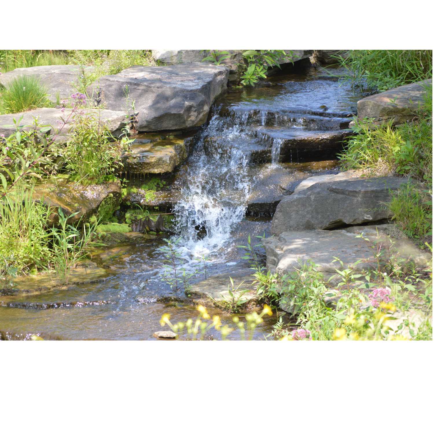 G.R.A.C.E. Life Coaching: Episode 6