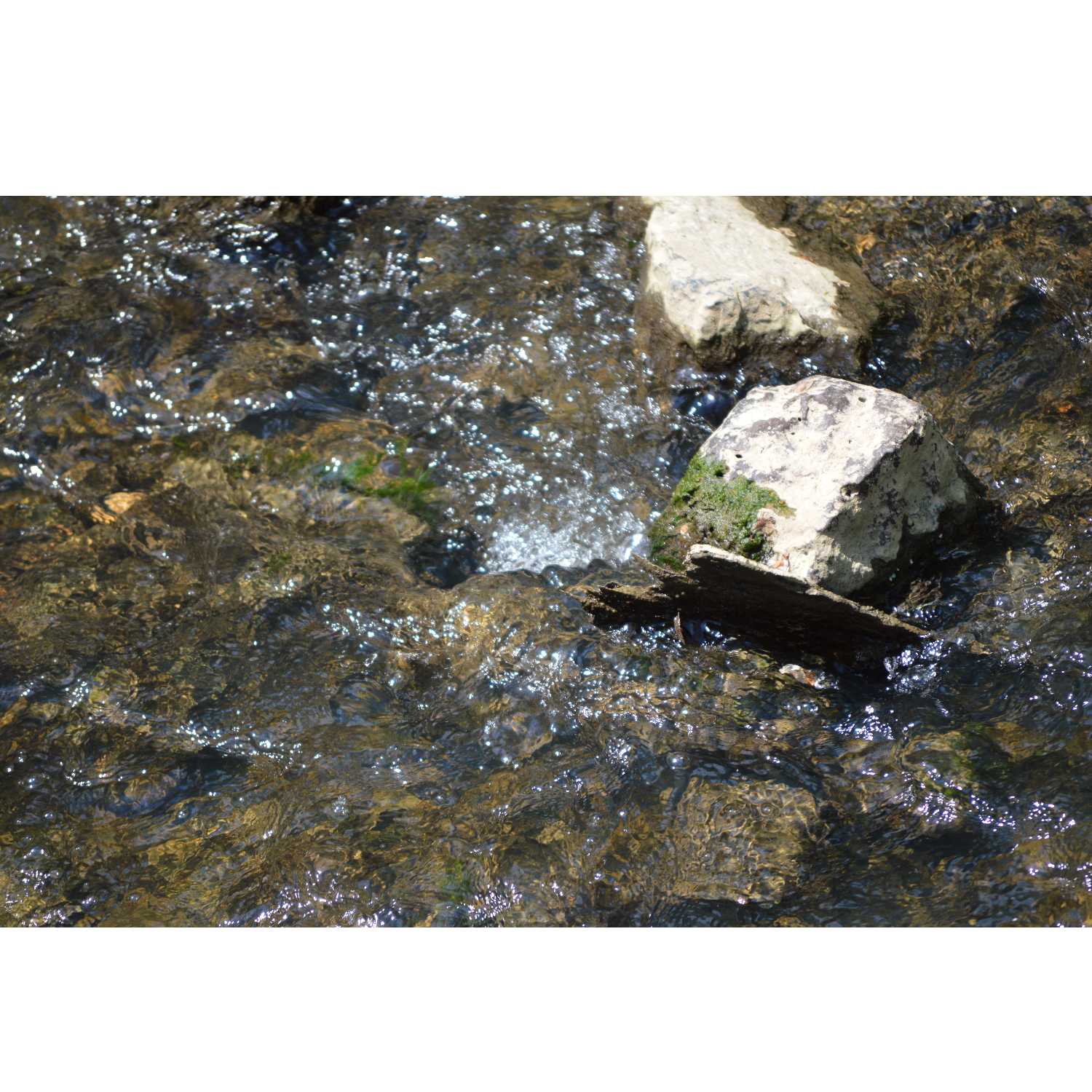 G.R.A.CE. Life Coaching: Episode 8