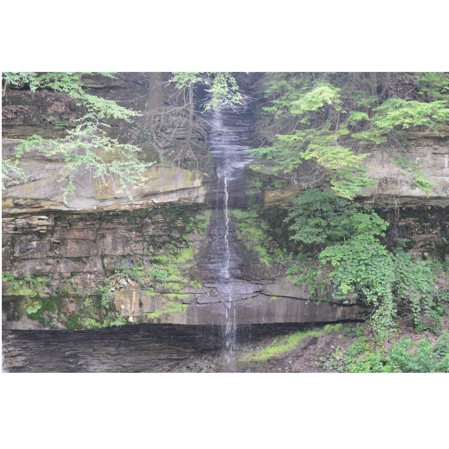 G.R.A.C.E. Life Coaching: Episode 9