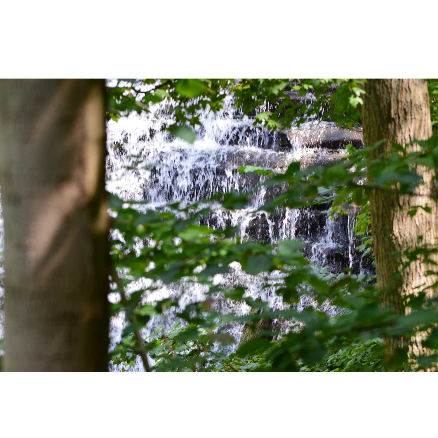 G.R.A.C.E. life Coaching: Session 11.1