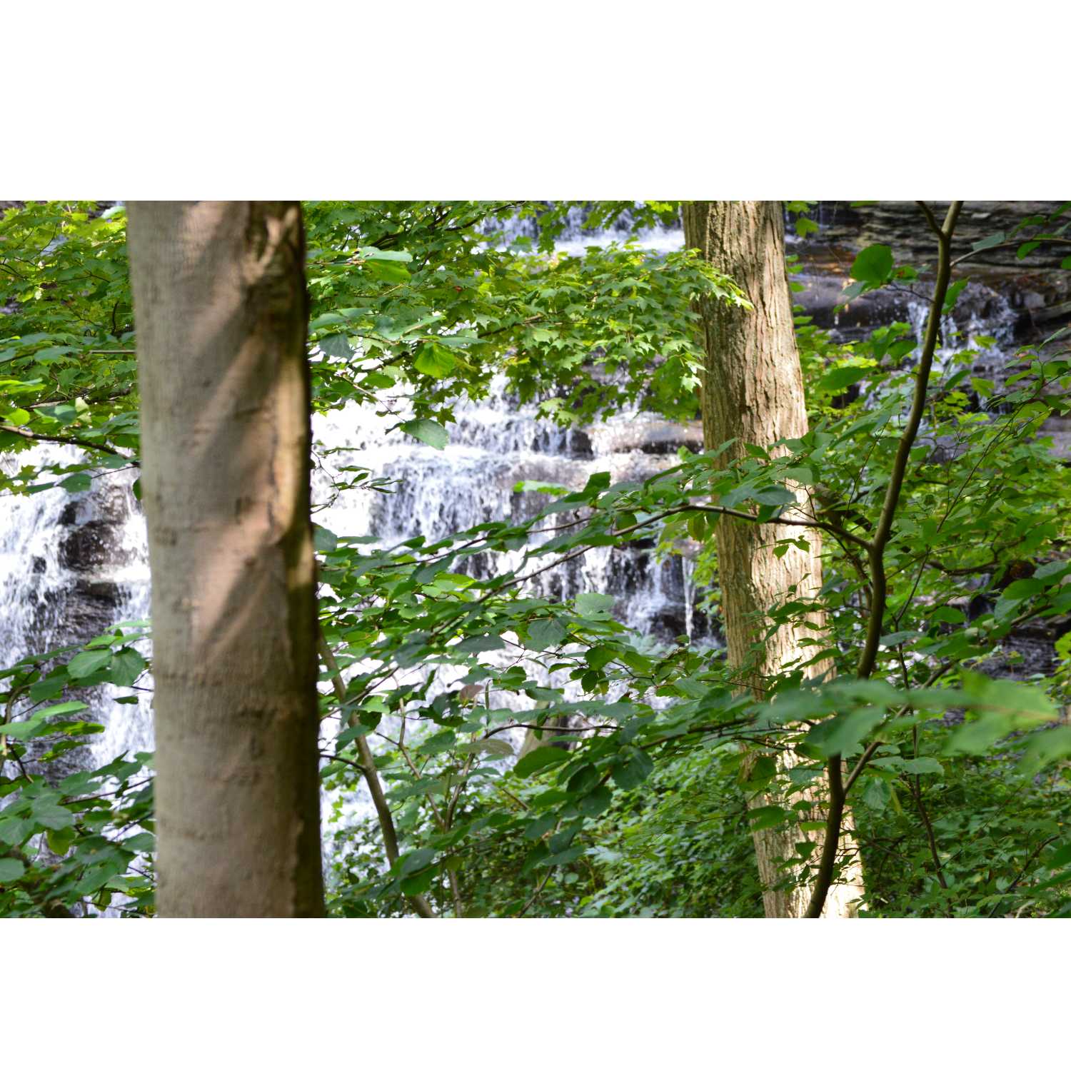 G.R.A.C.E. Life Coaching: Session11.2