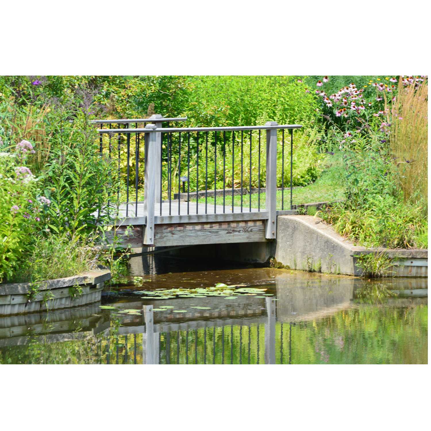 G.R.A.C.E. Life Coaching: Session 13