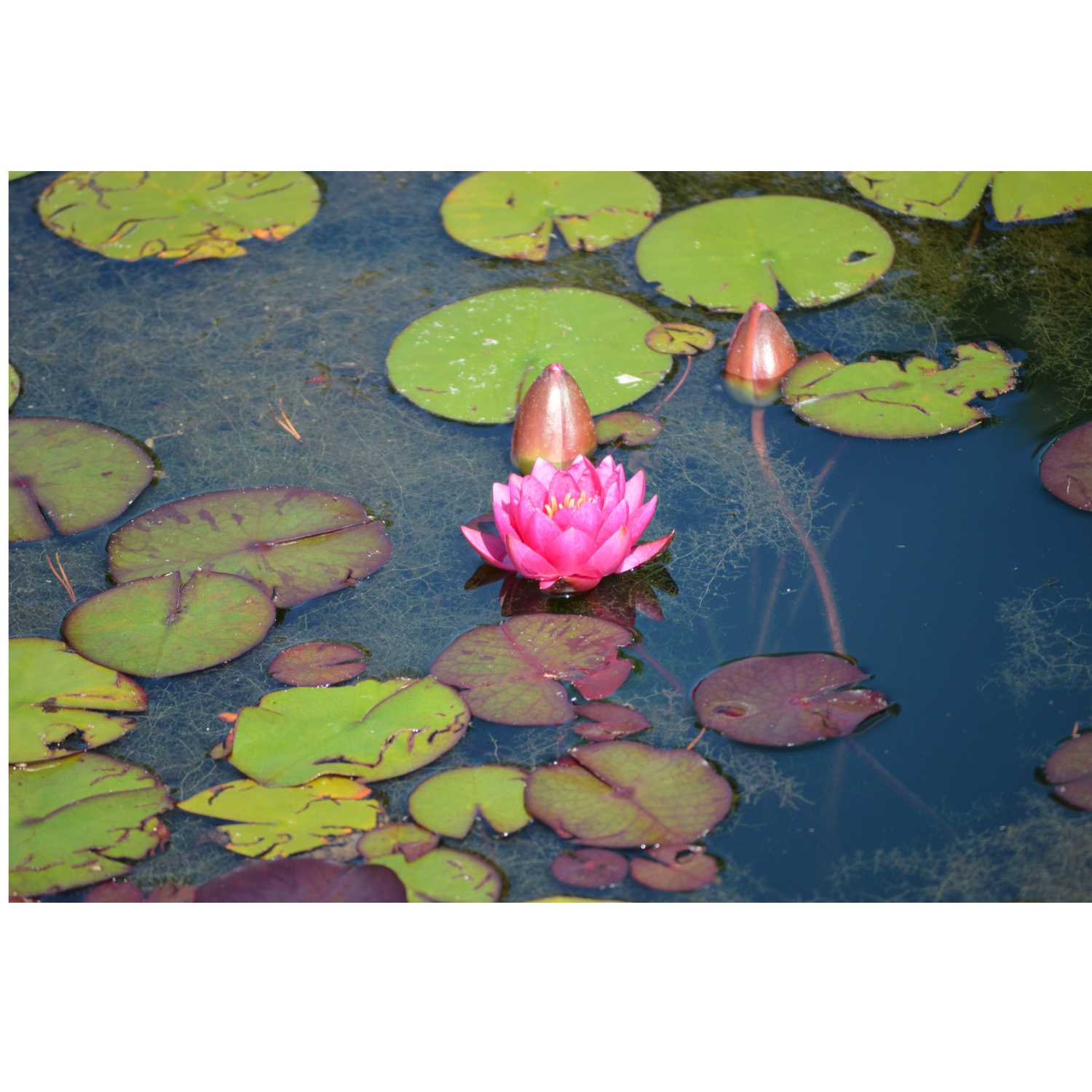 G.R.A.C.E. Life Coaching: Episode 14