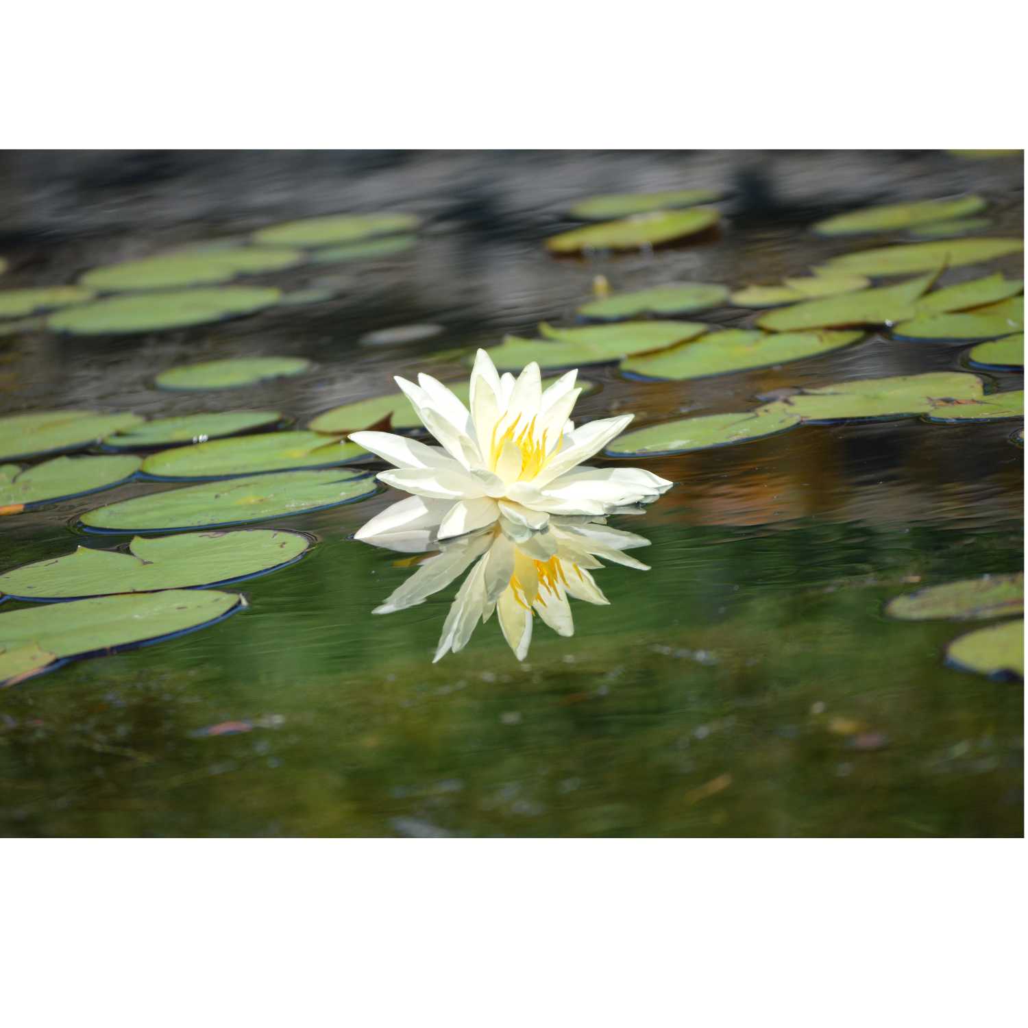 G.R.A.C.E Life Coaching: Episode 15