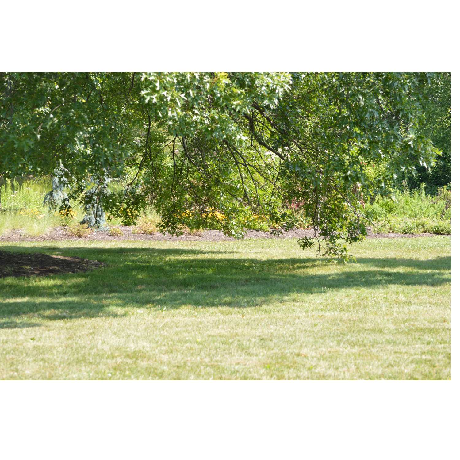 G.R.A.C.E Life Coaching: Episode 19