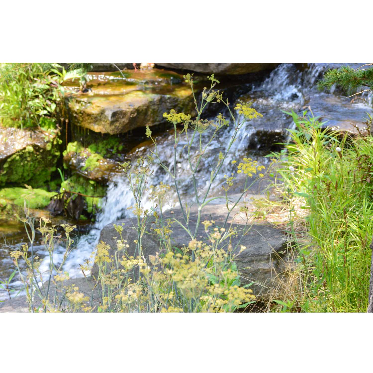 G.R.A.C.E Life Coaching: Episode 21