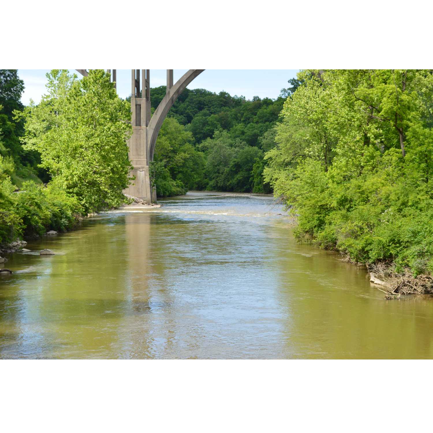 G.R.A.C.E. Life Coaching: Episode 24