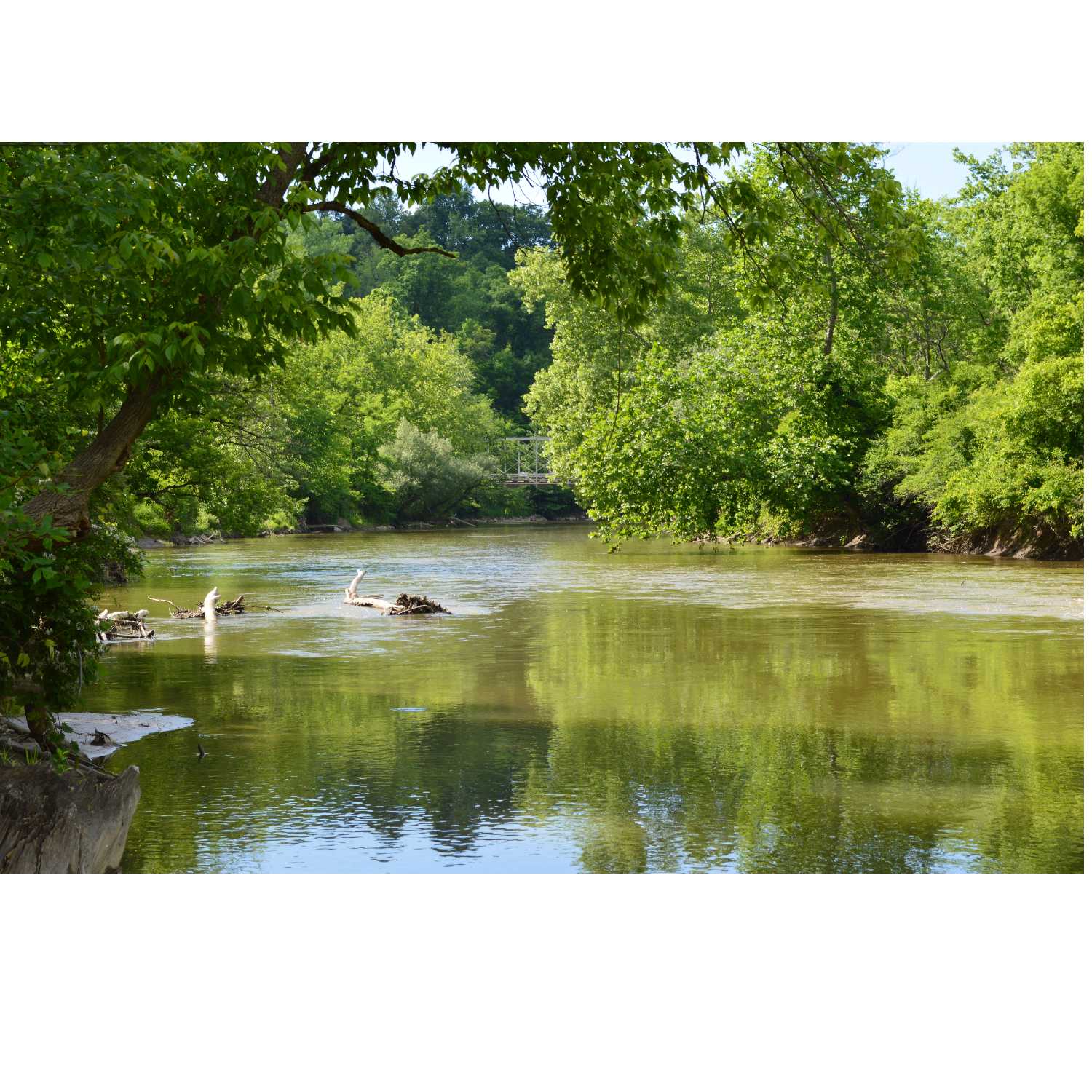 G.R.A.CE. Life Coaching : Episode 26