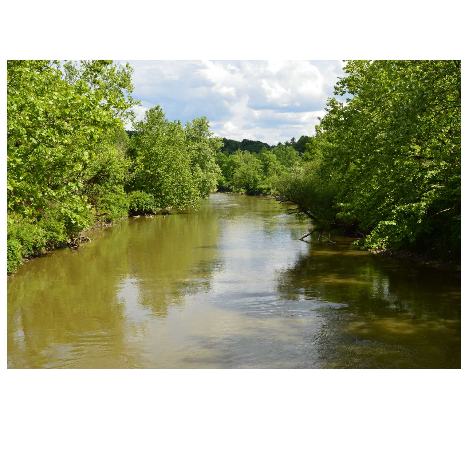 G.R.A.C.E Life Coaching : Episode 27