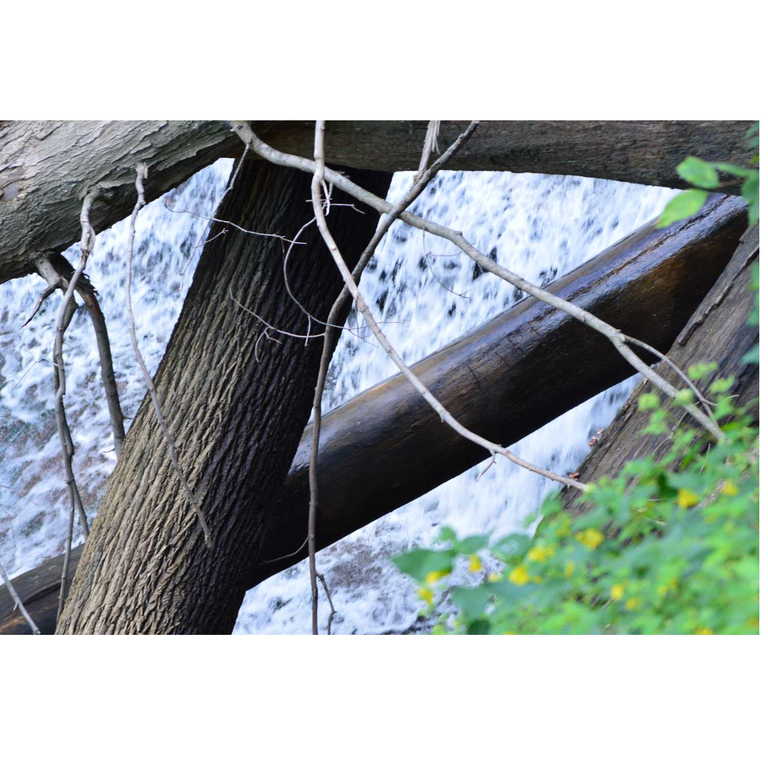 G.R.A.C.E. Life Coaching : Episode 28