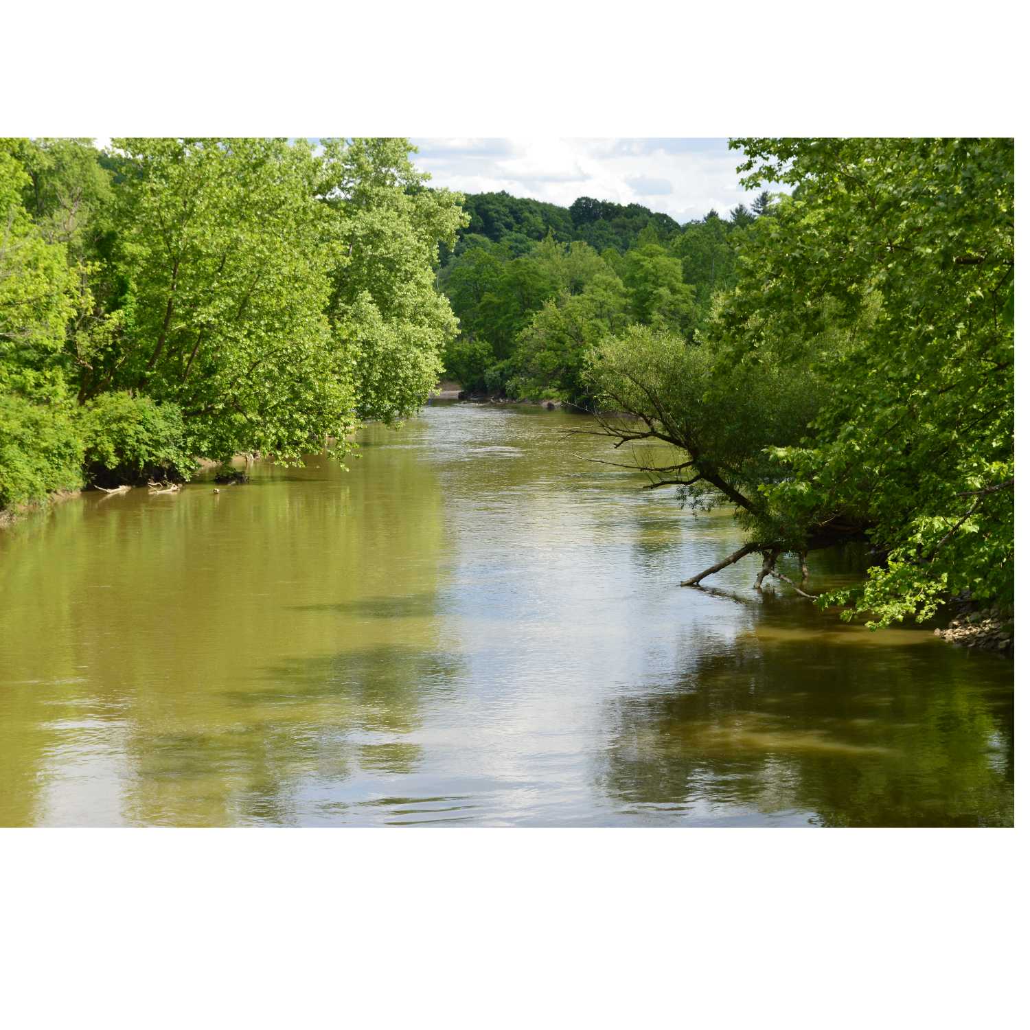 G.R.A.C.E. Life Coaching: Episode 30