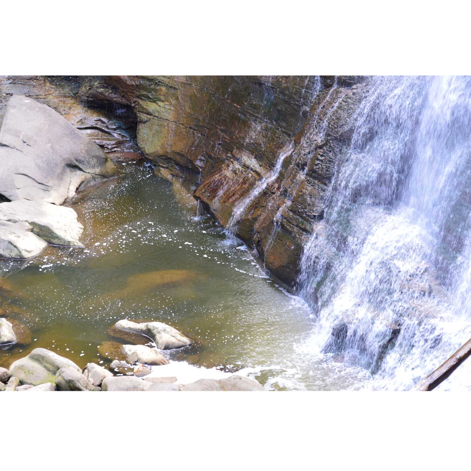 G.R.A.C.E Life Coaching : Session31