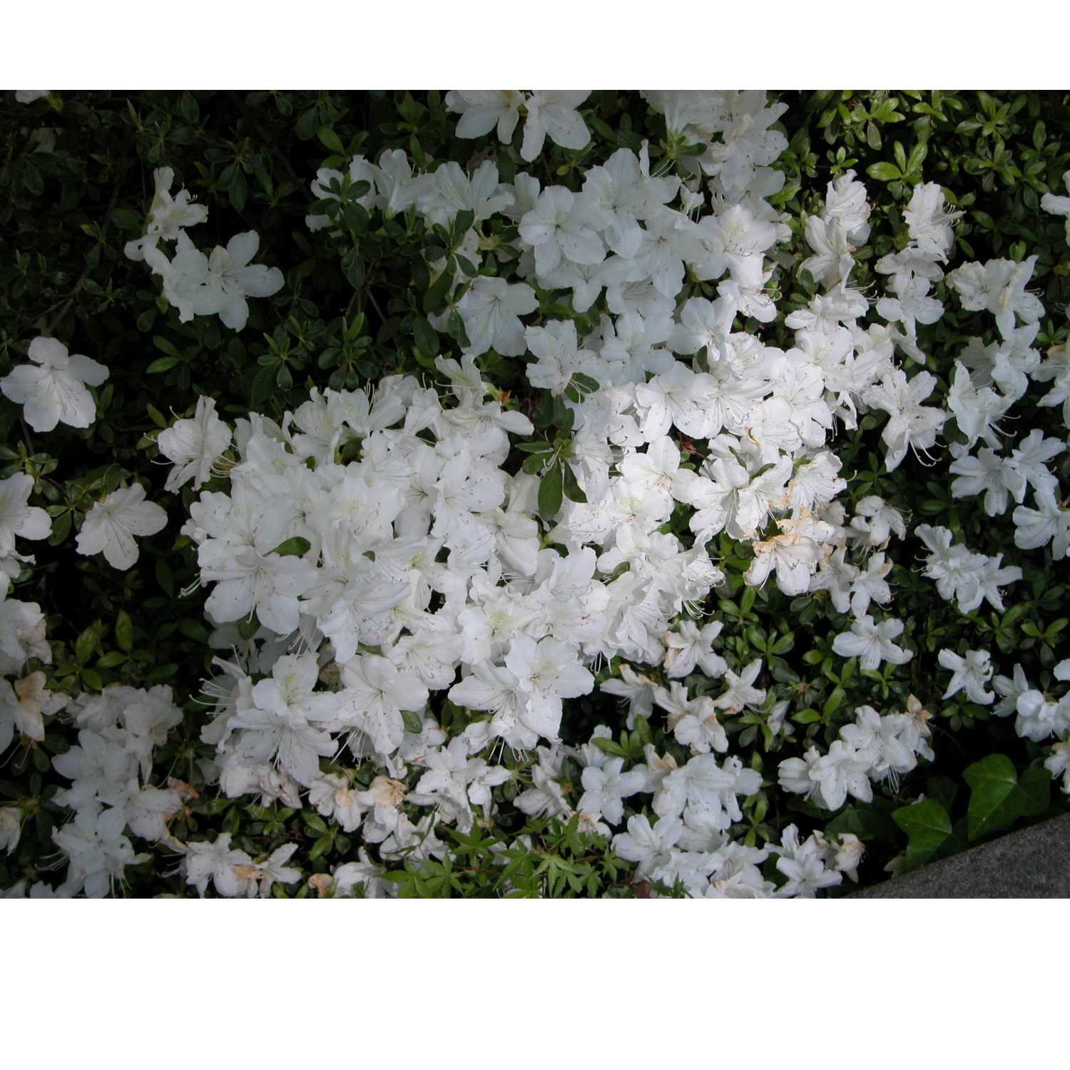 G.R.A.C.E. Life Coaching; Episode 34