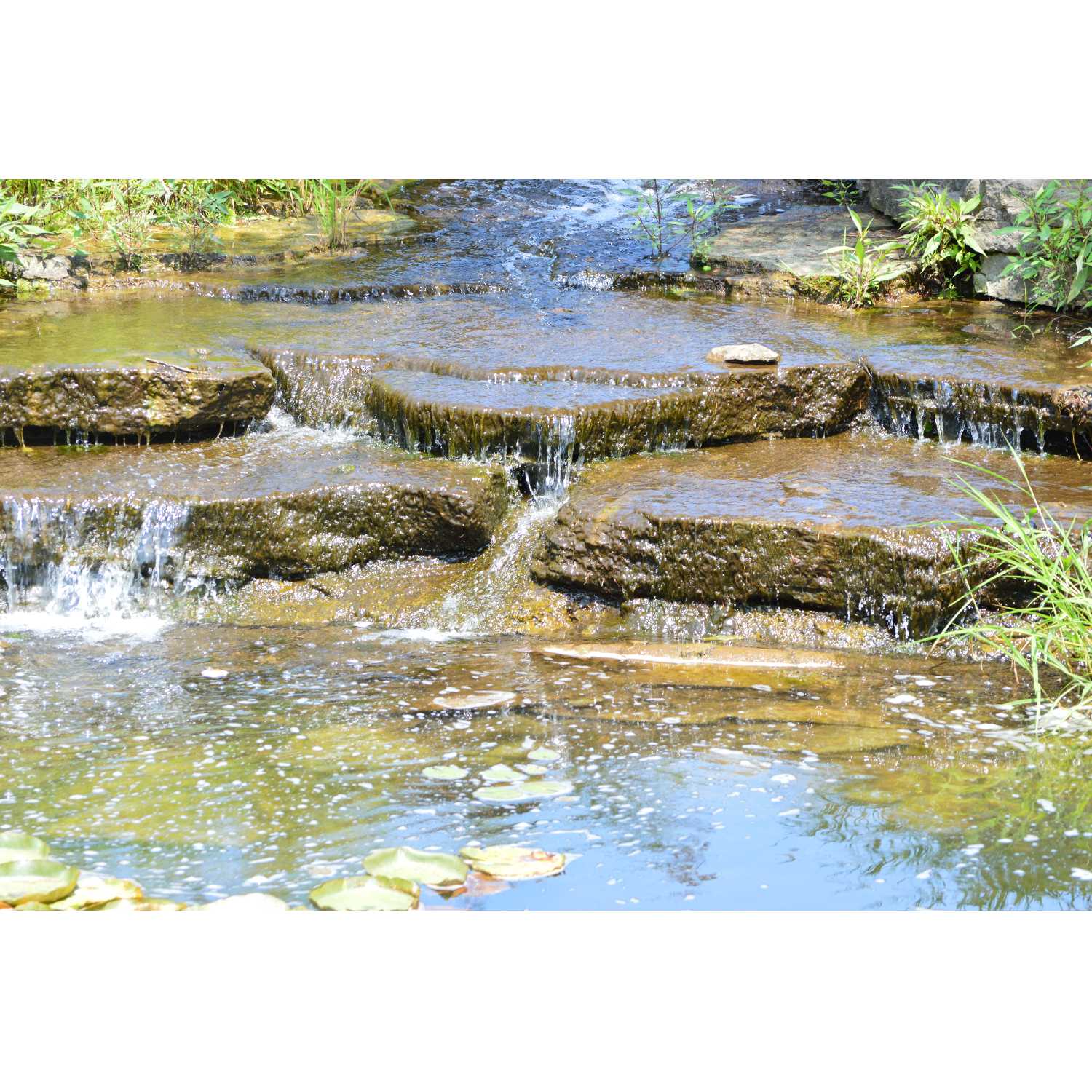 G.R.A.C.E. Life Coaching : Episode 35