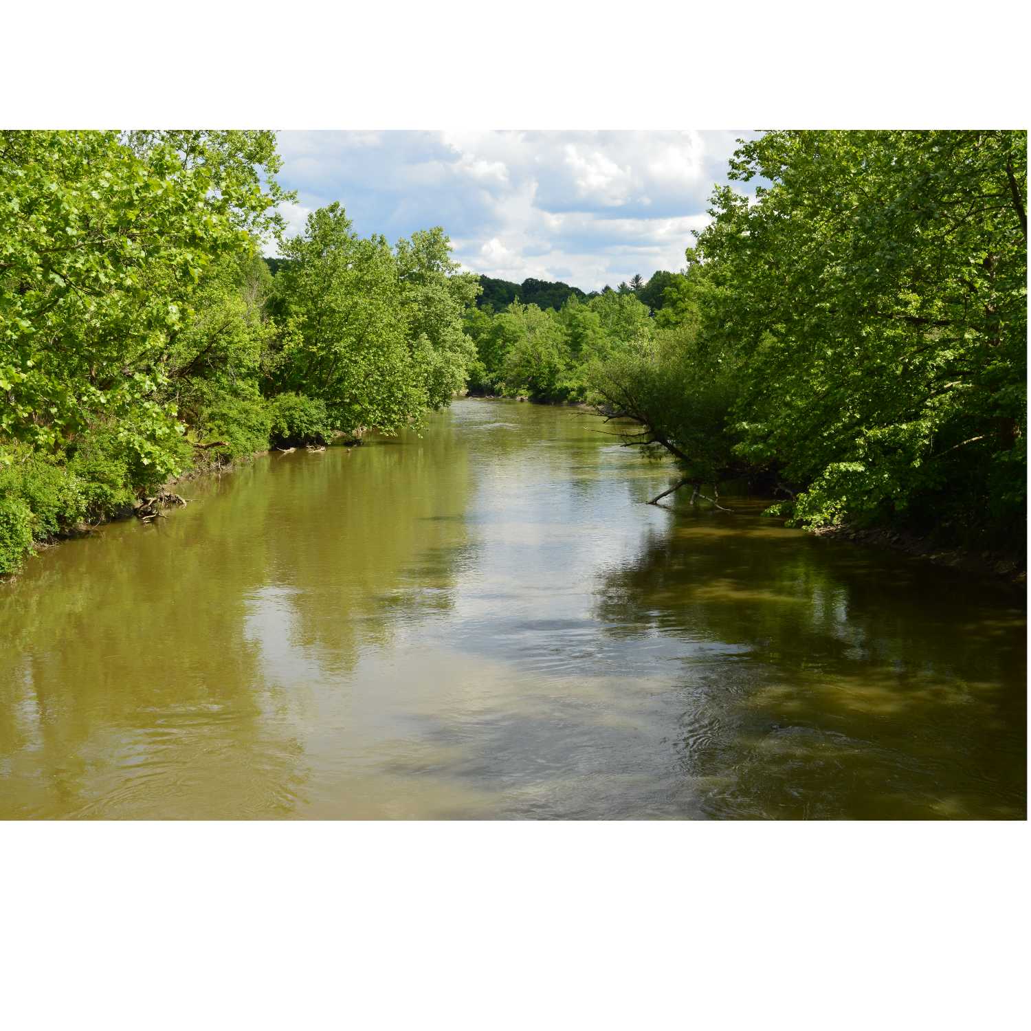 G.R.A.C.E. Life Coaching : Episode 36