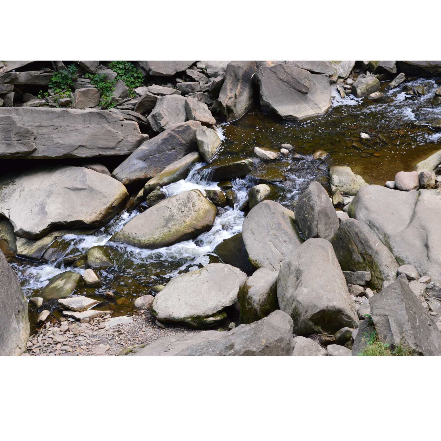 G.R.A.C.E. Life Coaching Special Announcement