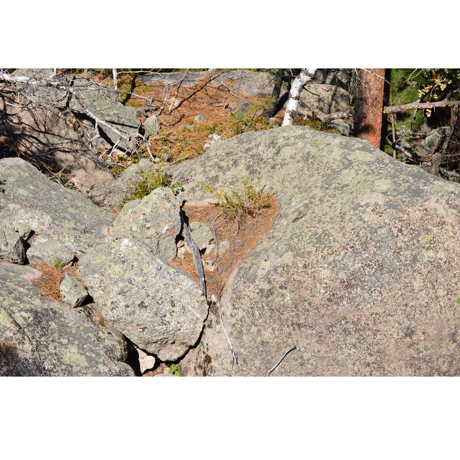 G.R.A.C.E. Life Coaching : Session 38