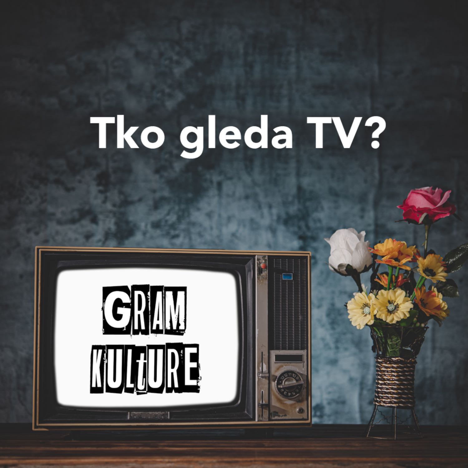 Morana Kasapović - Tko gleda TV?