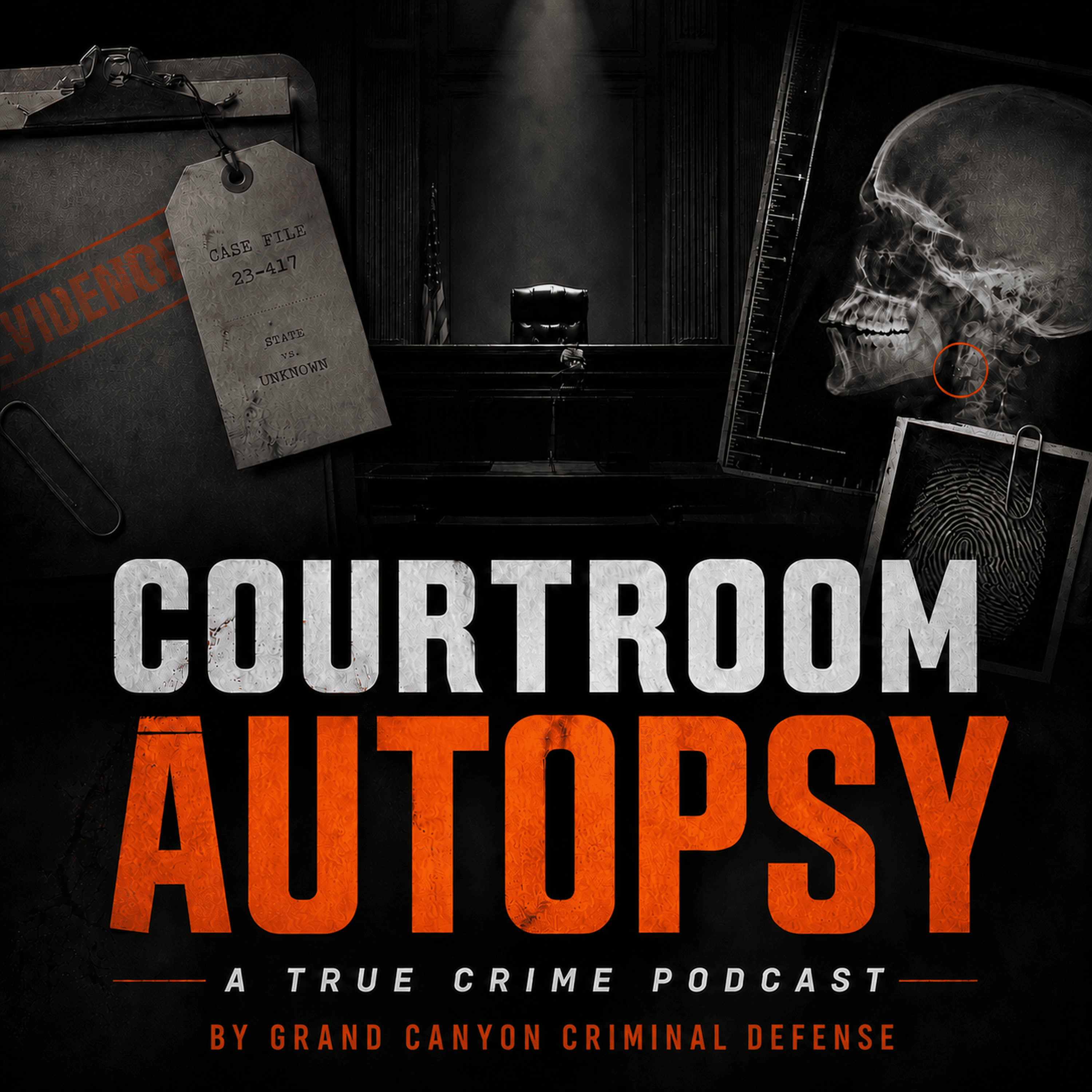 Every Lawyer in the Jodi Arias Trial Made Critical Mistakes episode artwork