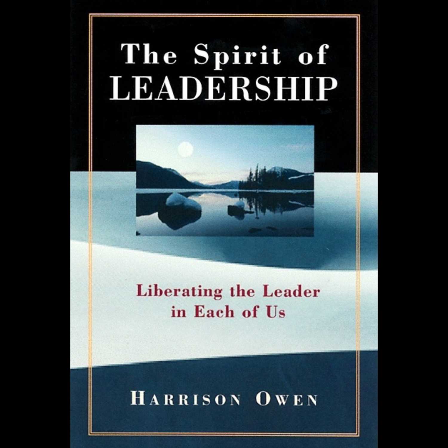 The Spirit of Leadership | Chapter 10 - 4th Function: Comforting Spirit When Things Fall Apart